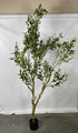 Realead Fake Decorative/Interchangeable Olive Tree