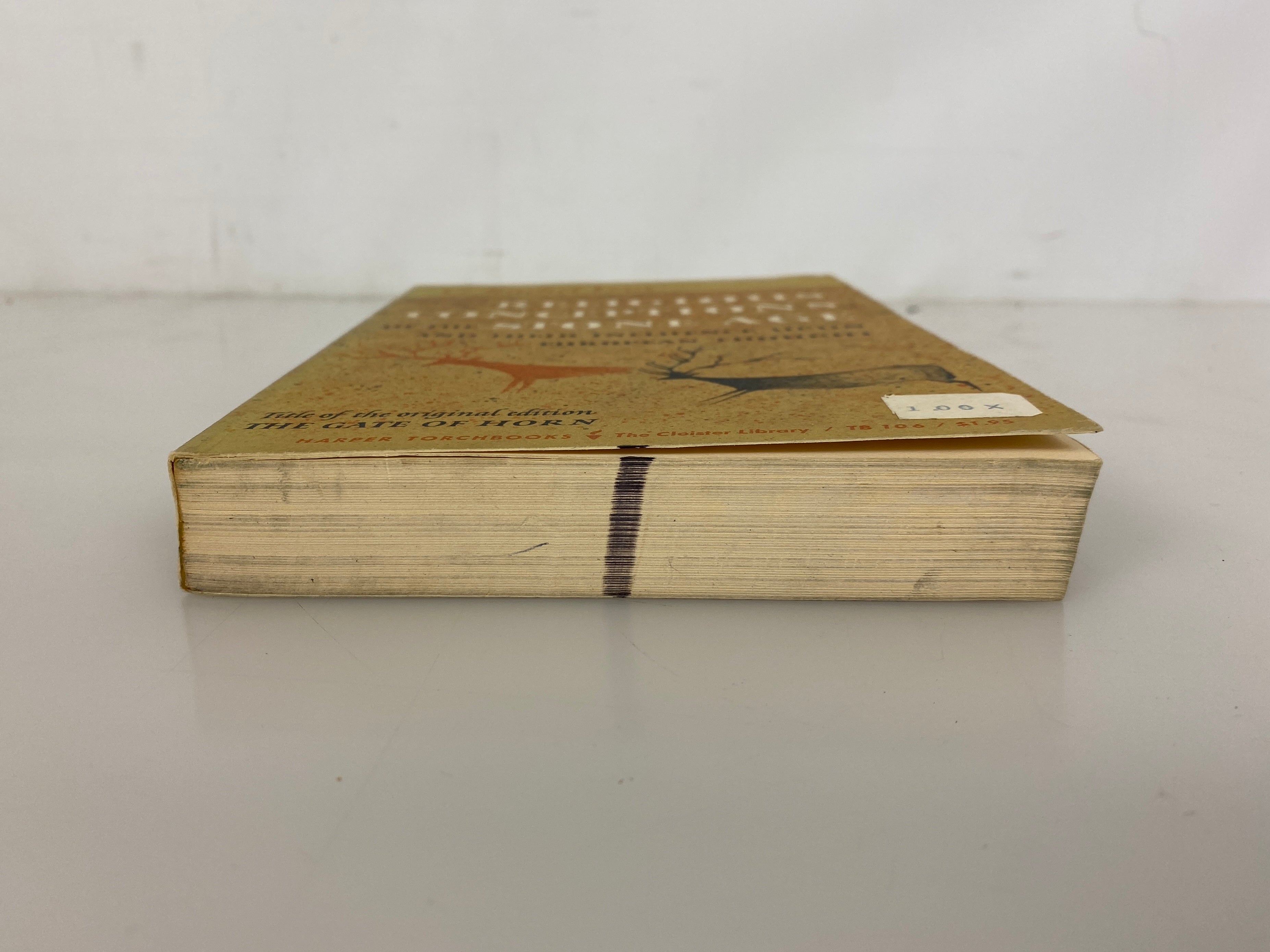 Religious Conceptions of the Stone Age by C. Rachel Levy 1963 SC