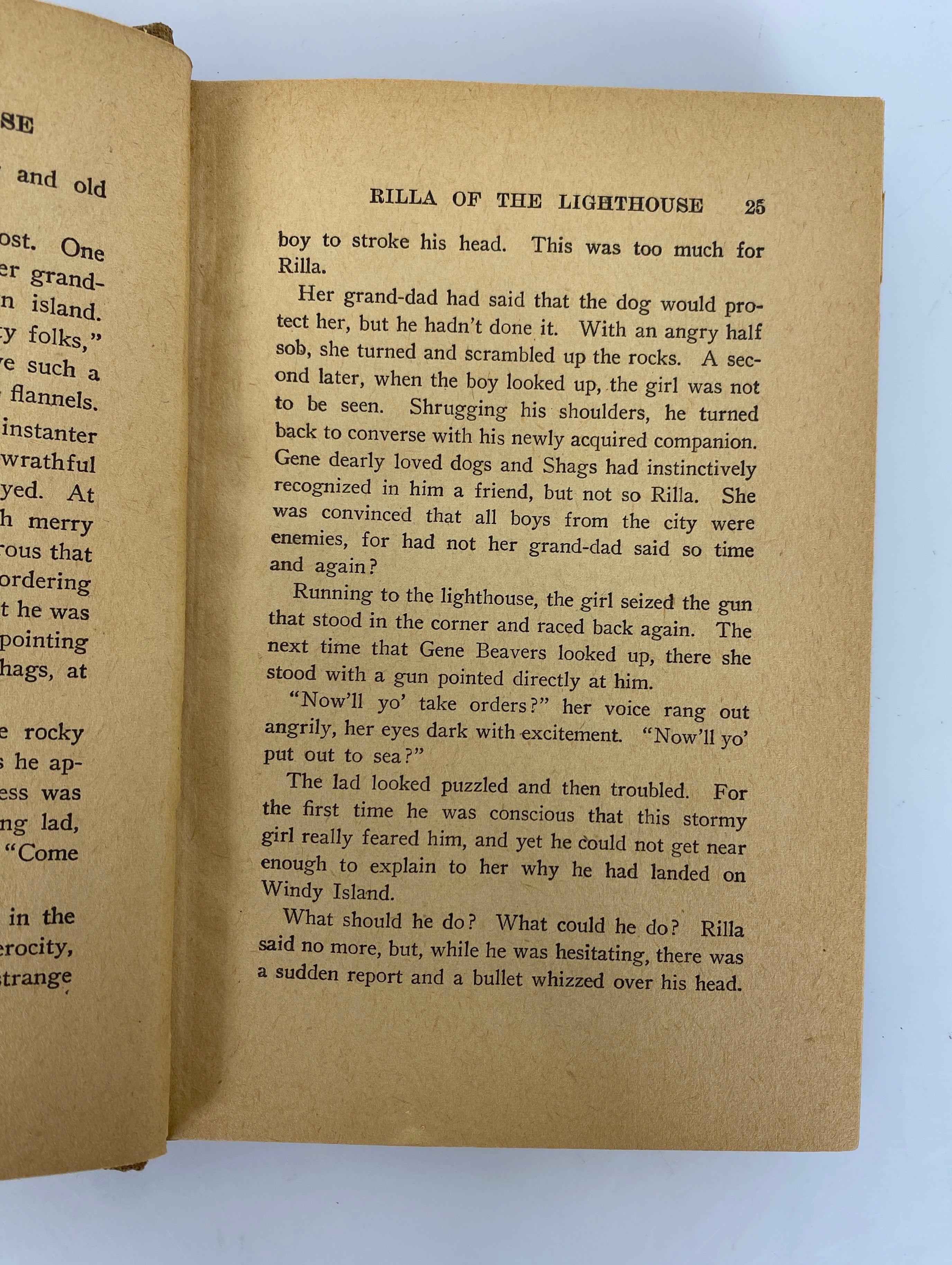 Rilla of the Lighthouse by Grace May North 1926 Antique HC DJ