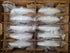 Cisco Catalyst 9120AXI-B Wireless Access Point Lot of 10 *New*