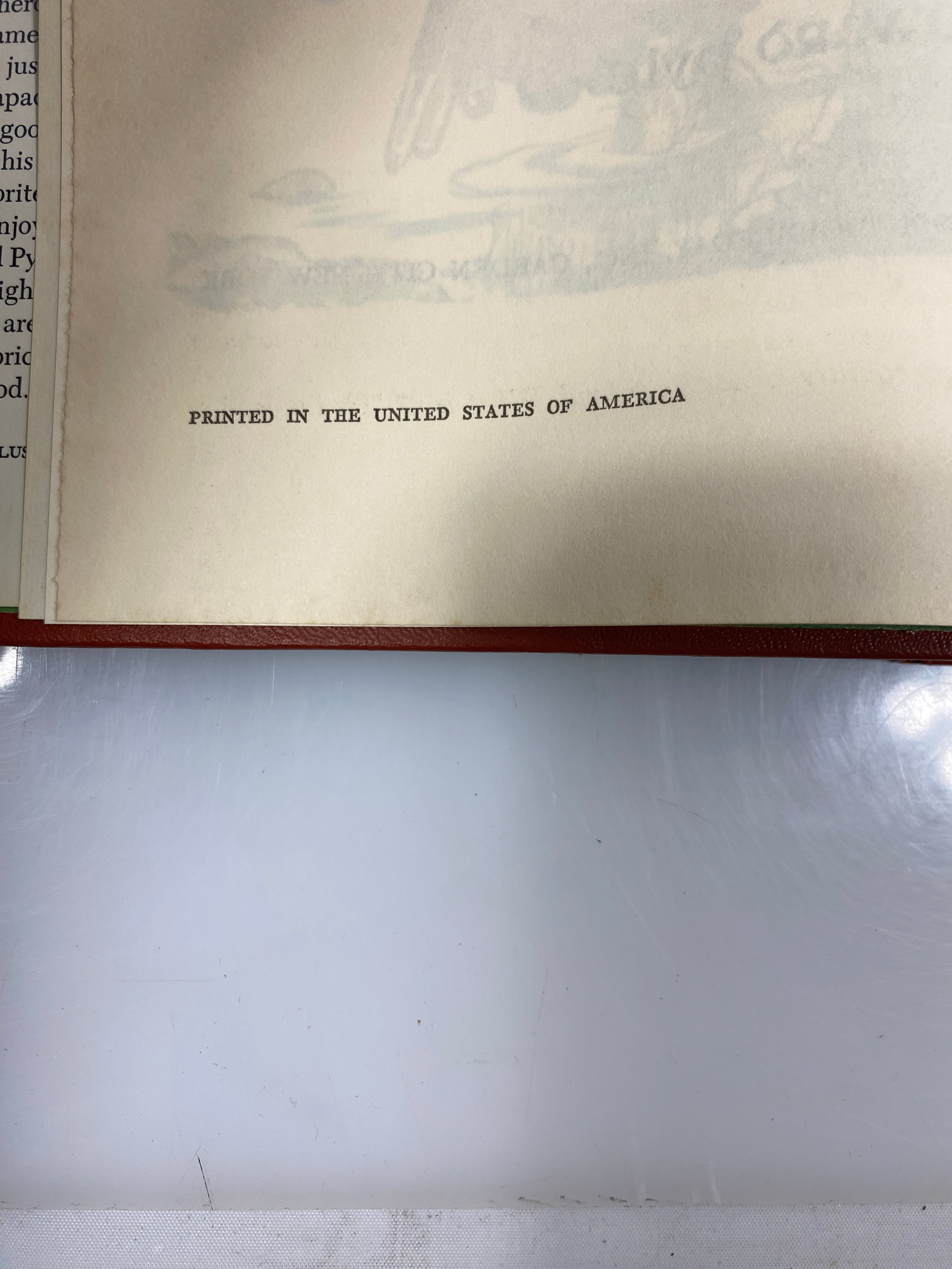 Robin Hood by Howard Pyle Nelson Doubleday HCDJ BCE