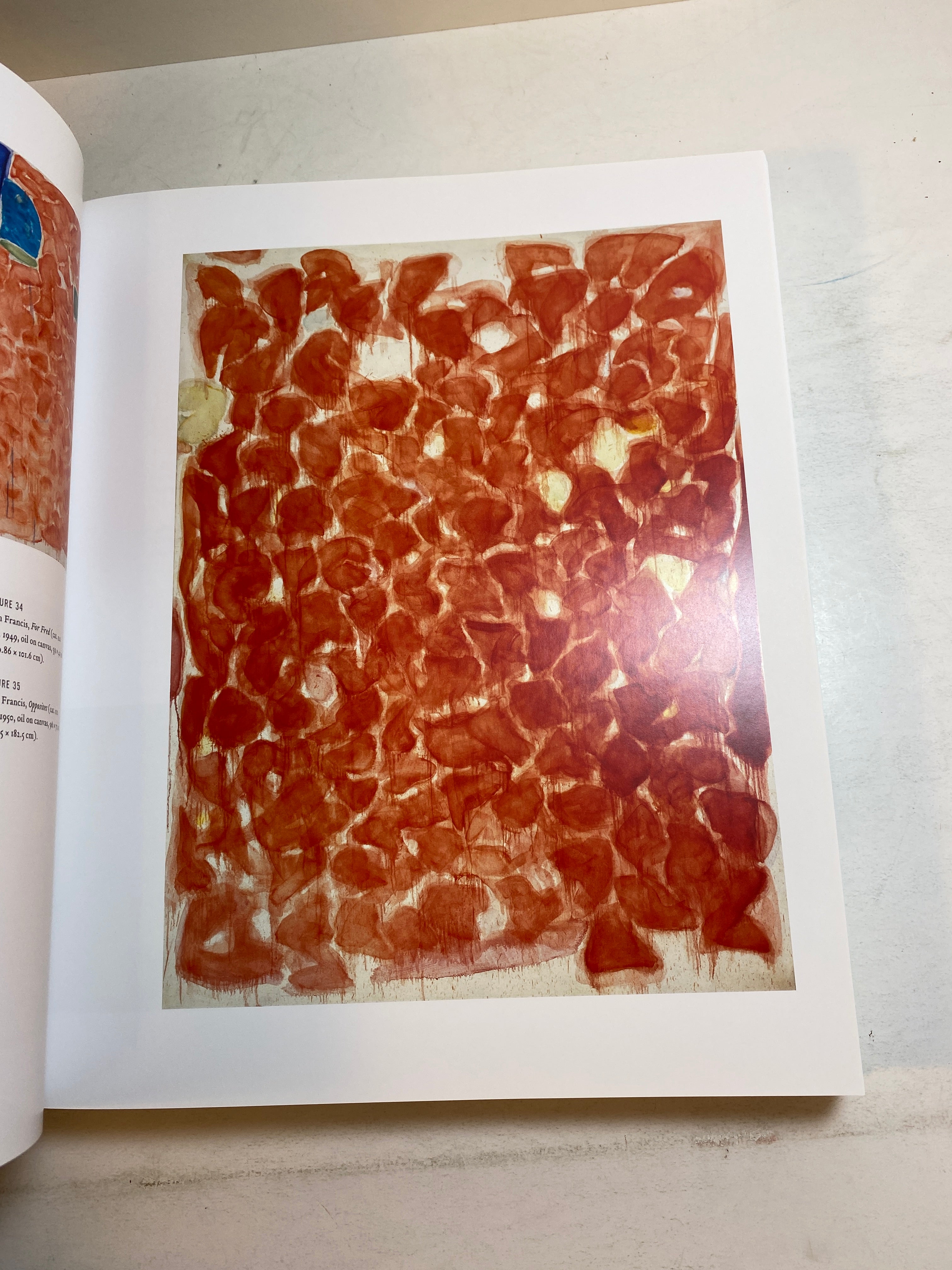 Sam Francis Catalogue Raissonne of Canvas and Panel Paintings 2011 HC