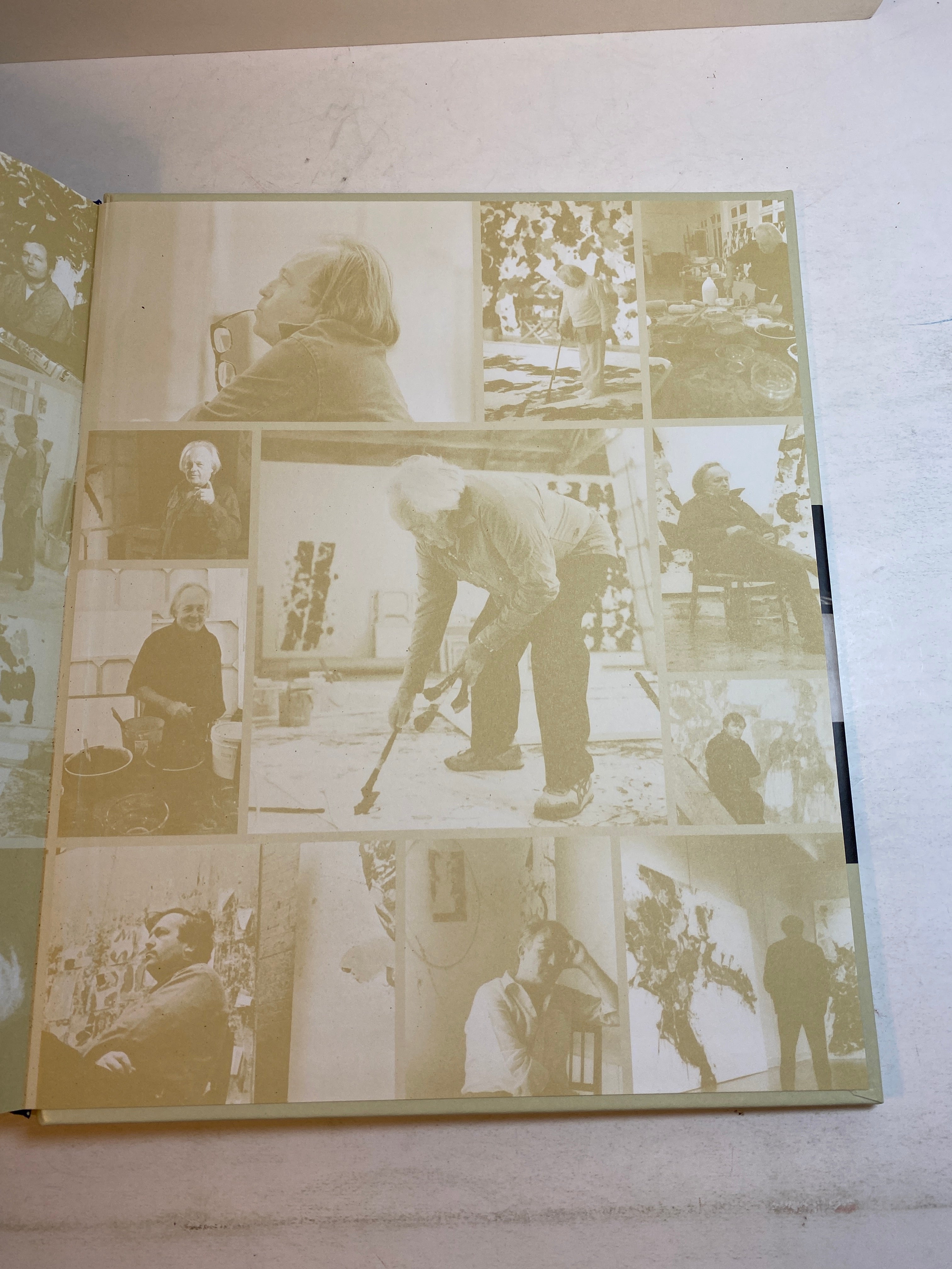 Sam Francis Catalogue Raissonne of Canvas and Panel Paintings 2011 HC