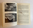 Scarne on Cards by John Scarne 1966 Revised Edition 2nd Printing HC