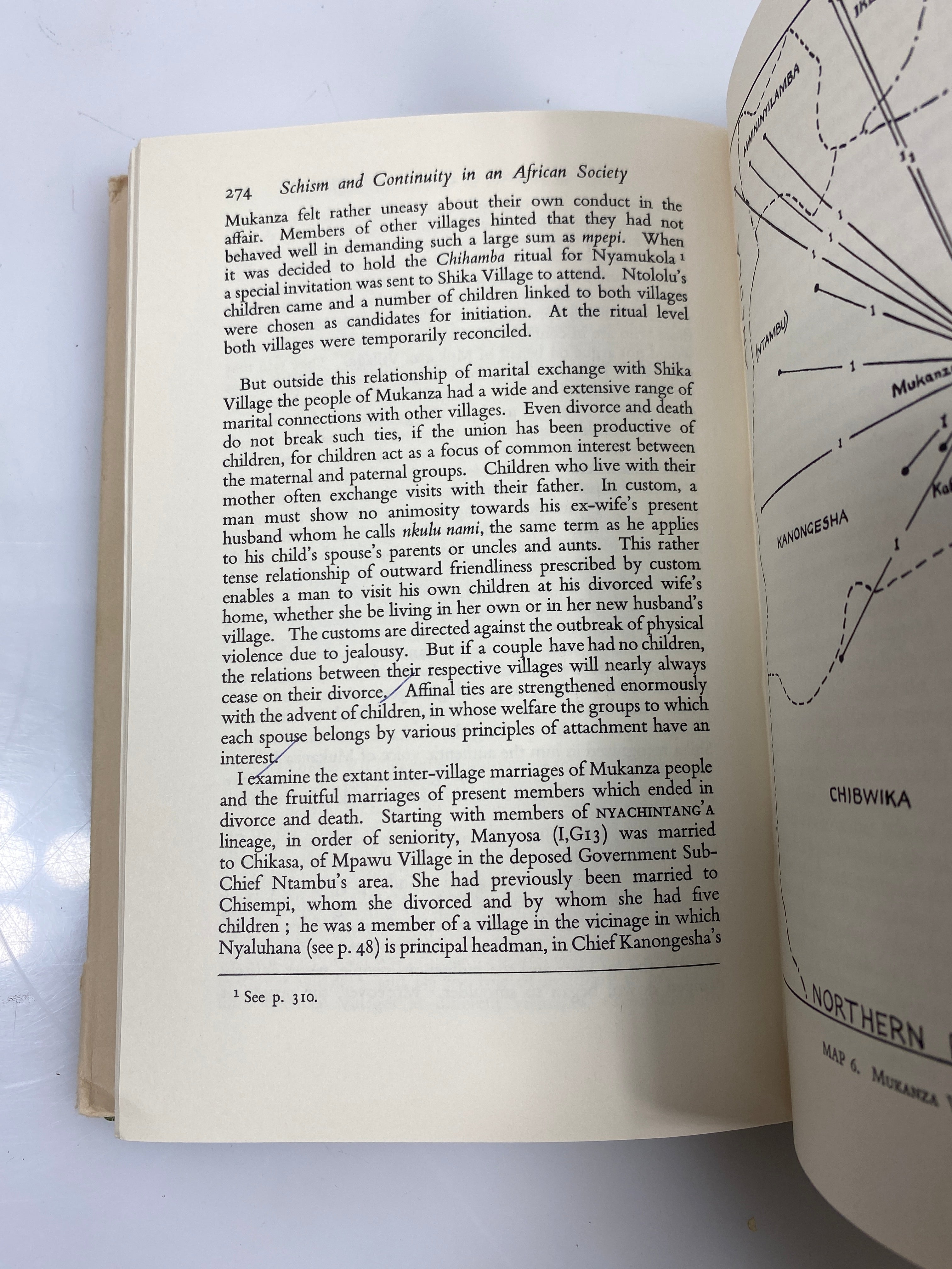 Schism and Continuity in an African Society by Turner 1968 HCDJ