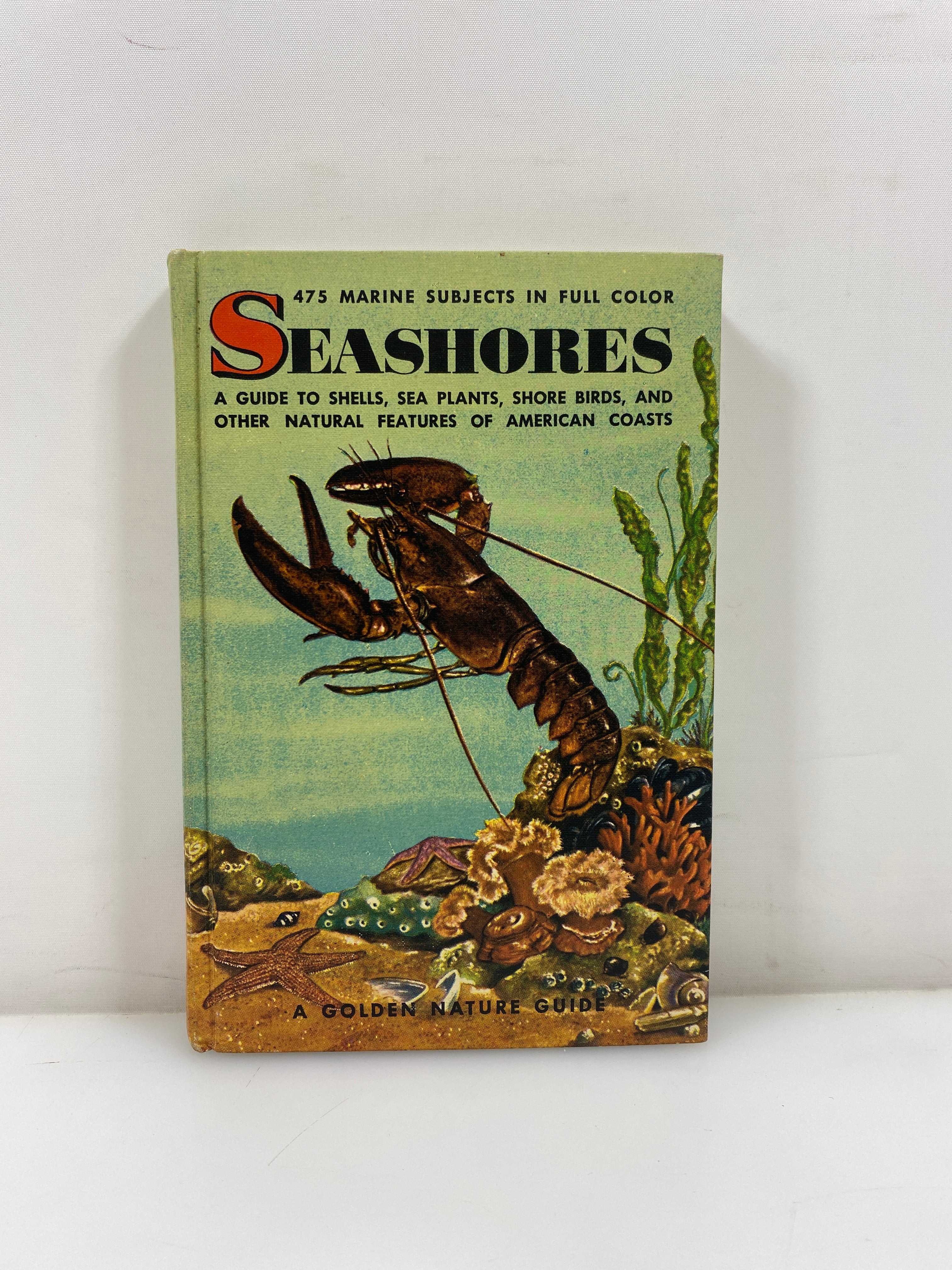 Seashores by Zim/Ingle Golden Nature Guide Ex-library 1955 HC