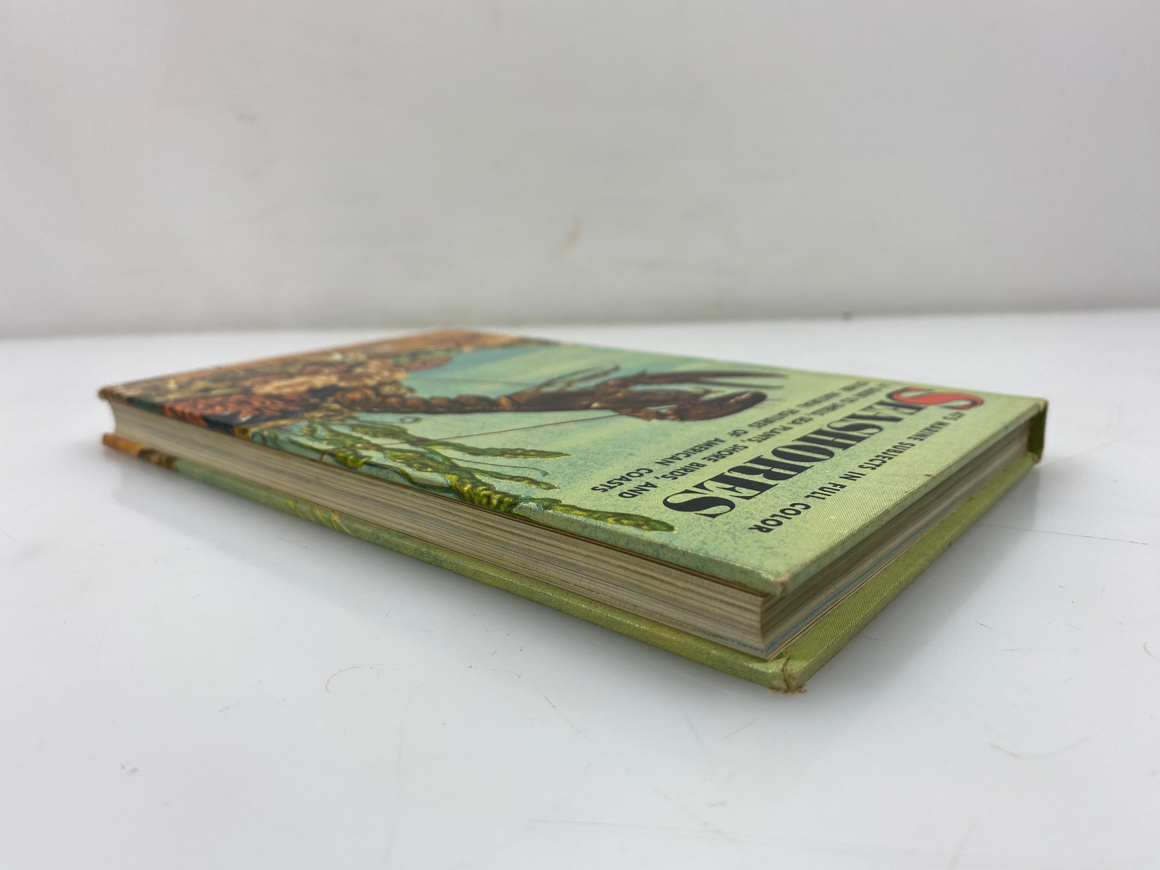 Seashores by Zim/Ingle Golden Nature Guide Ex-library 1955 HC