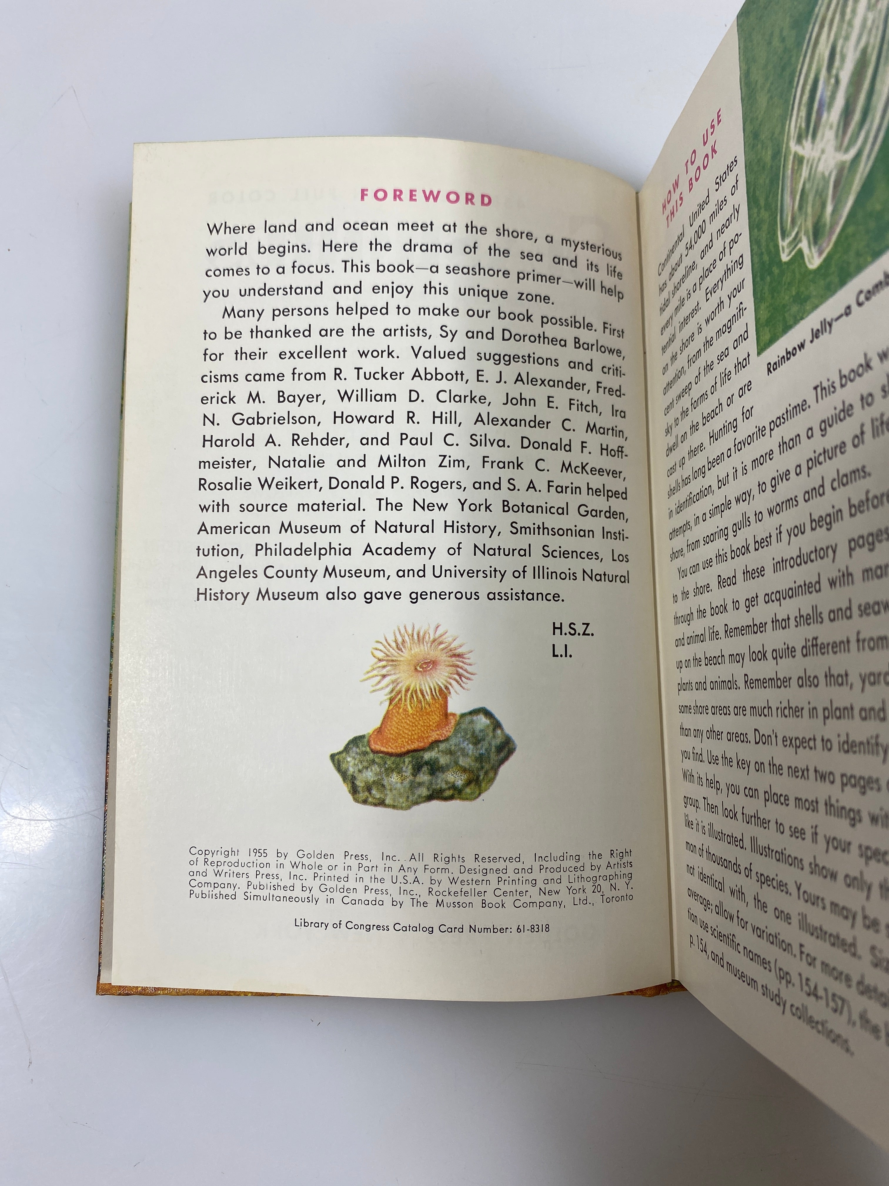 Seashores by Zim/Ingle Golden Nature Guide Ex-library 1955 HC