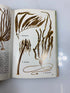 Seashores by Zim/Ingle Golden Nature Guide Ex-library 1955 HC