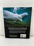 Secrets of the Whales by Brian Skerry