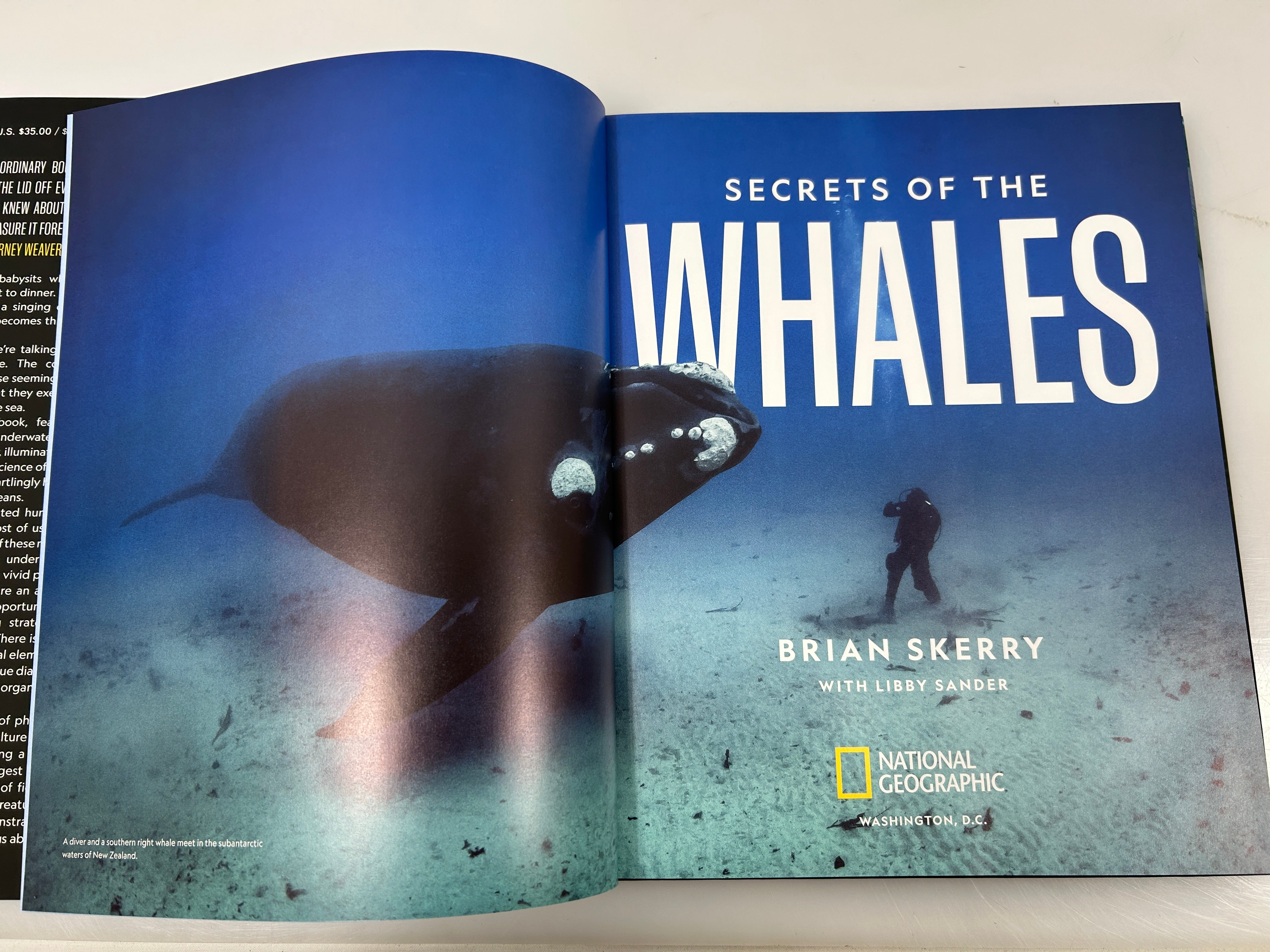 Secrets of the Whales by Brian Skerry