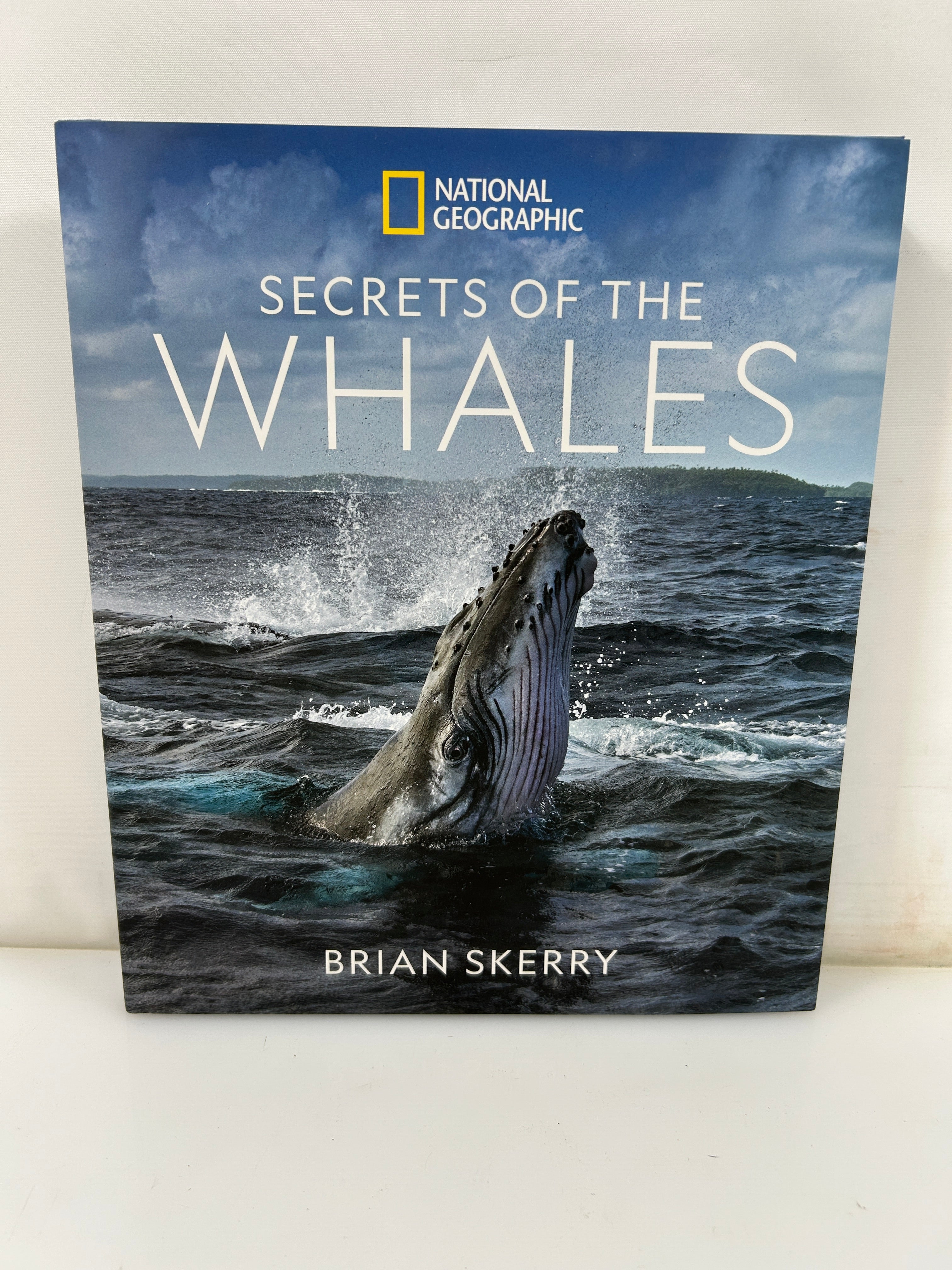 Secrets of the Whales by Brian Skerry