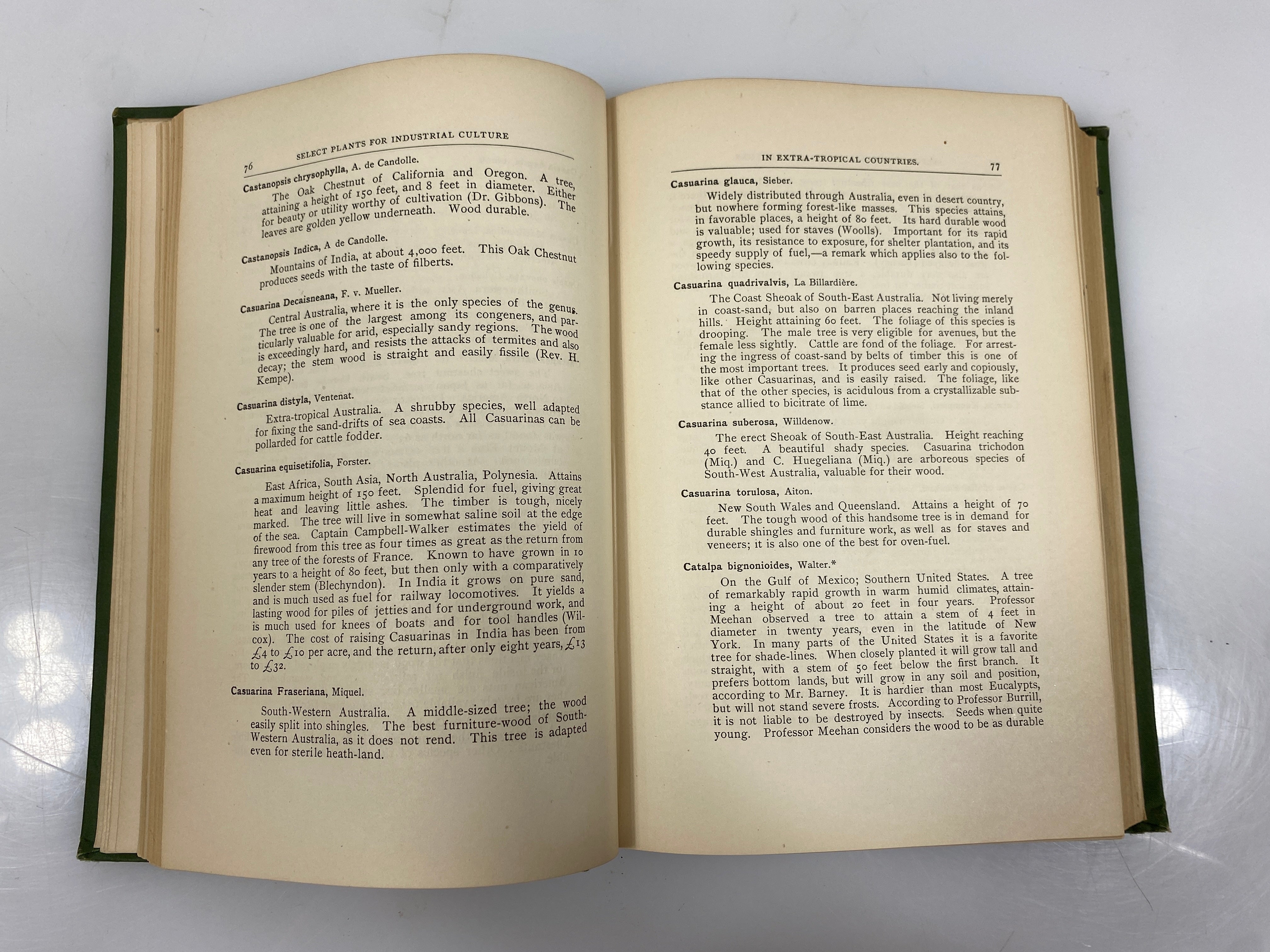 Select Extra-Tropical Plants by Von Mueller 1884 Antique Ex-Library HC