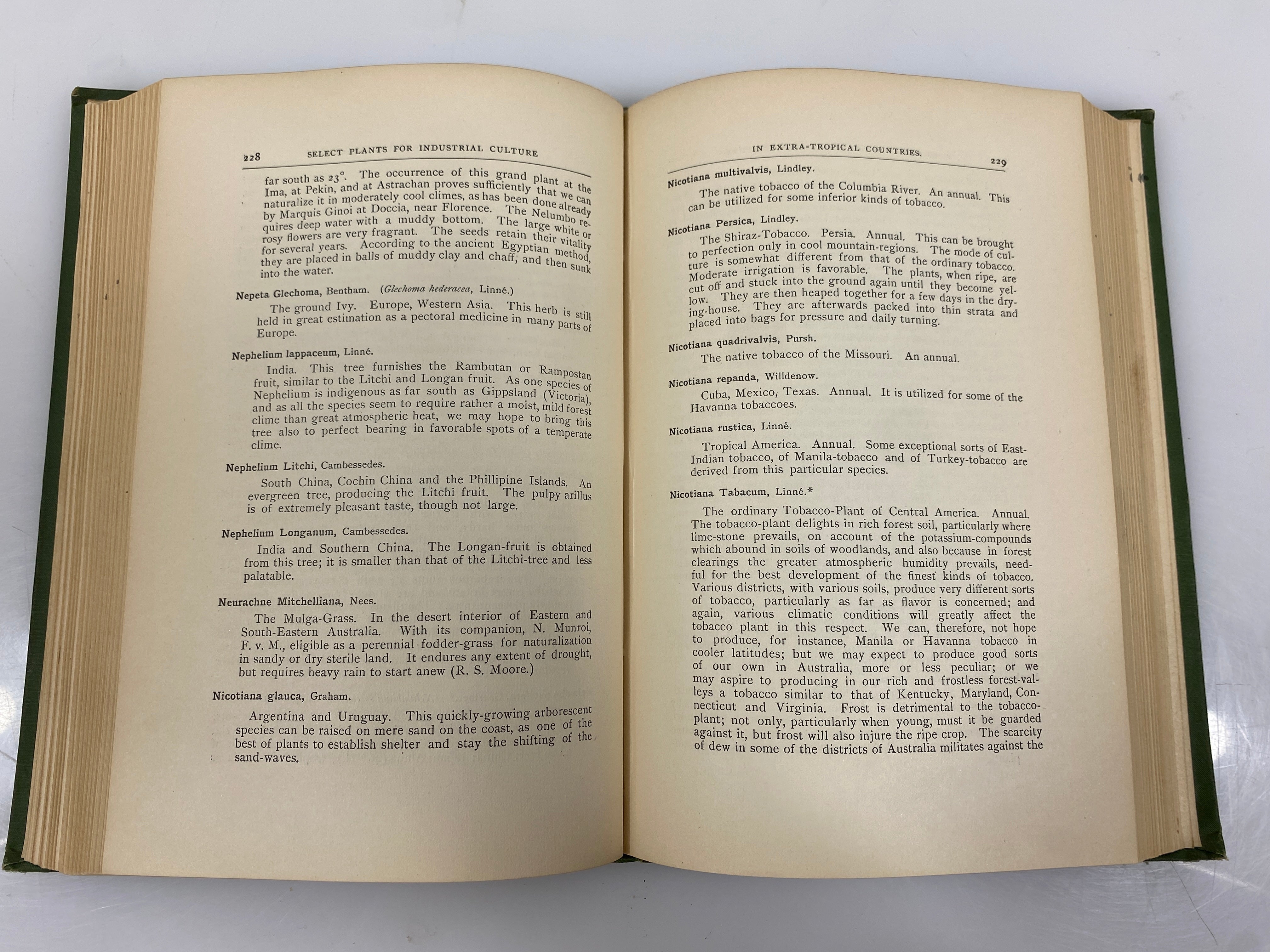 Select Extra-Tropical Plants by Von Mueller 1884 Antique Ex-Library HC