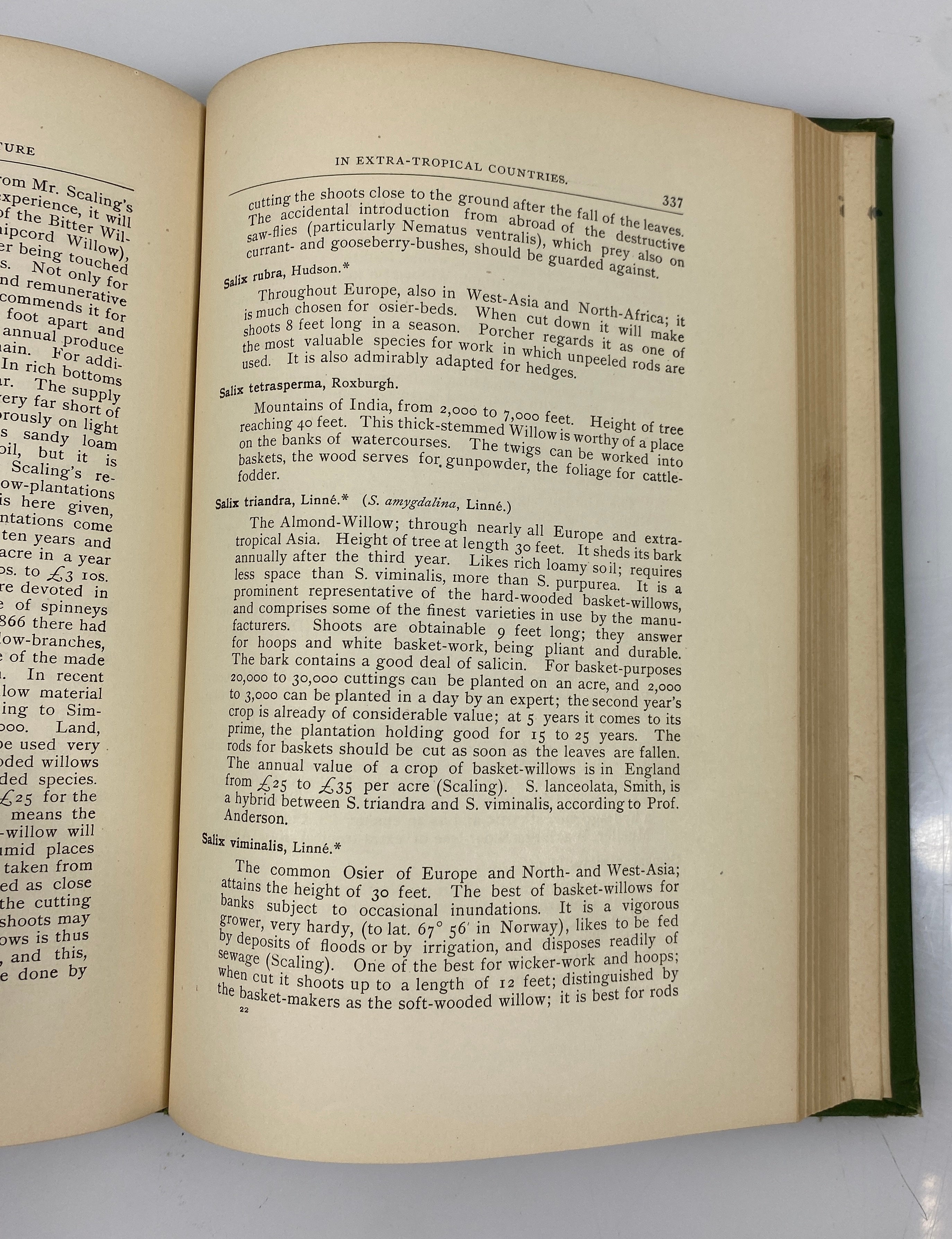 Select Extra-Tropical Plants by Von Mueller 1884 Antique Ex-Library HC