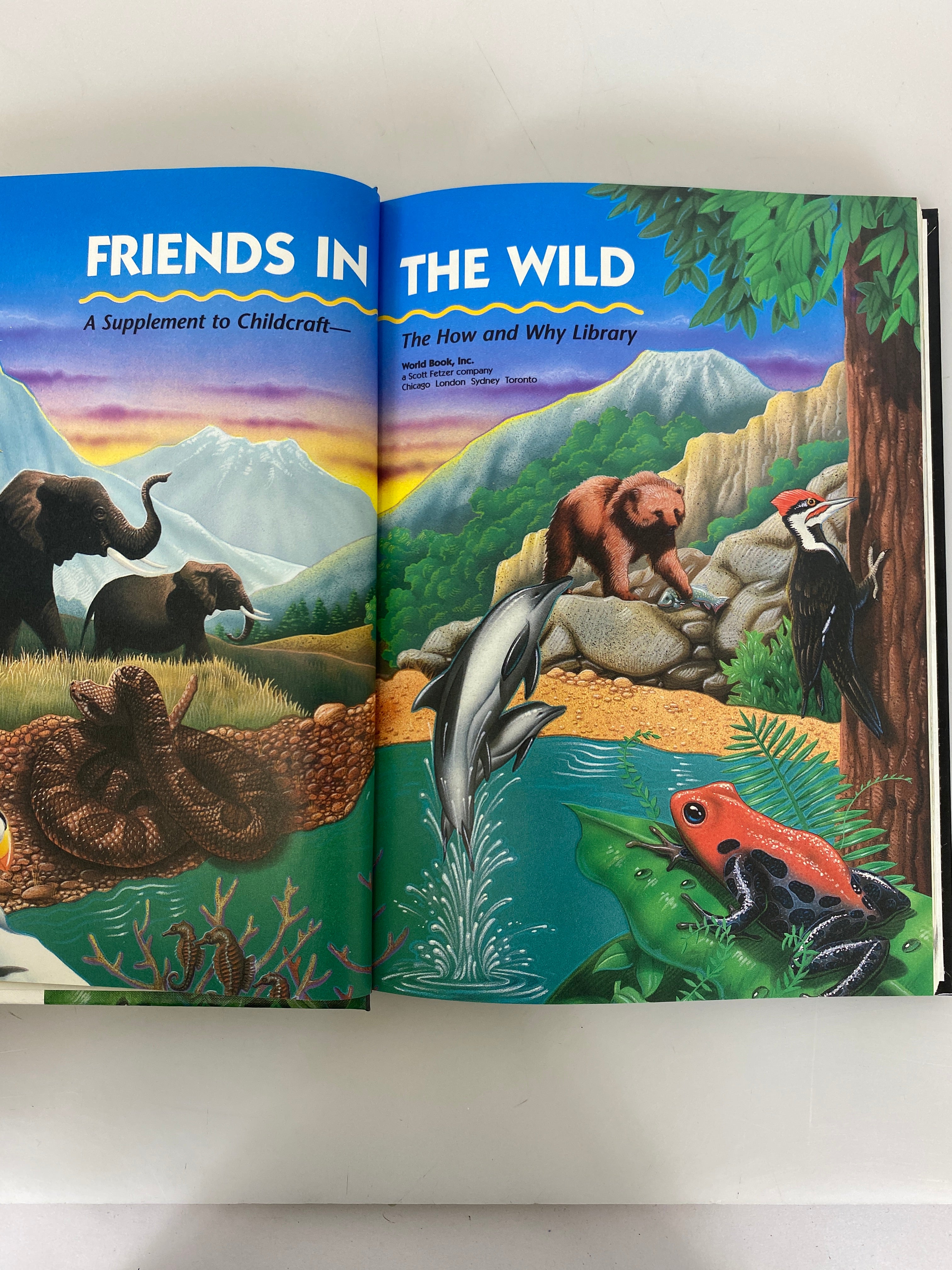 Set of 18 Childcraft Annual 1981-1998 HC