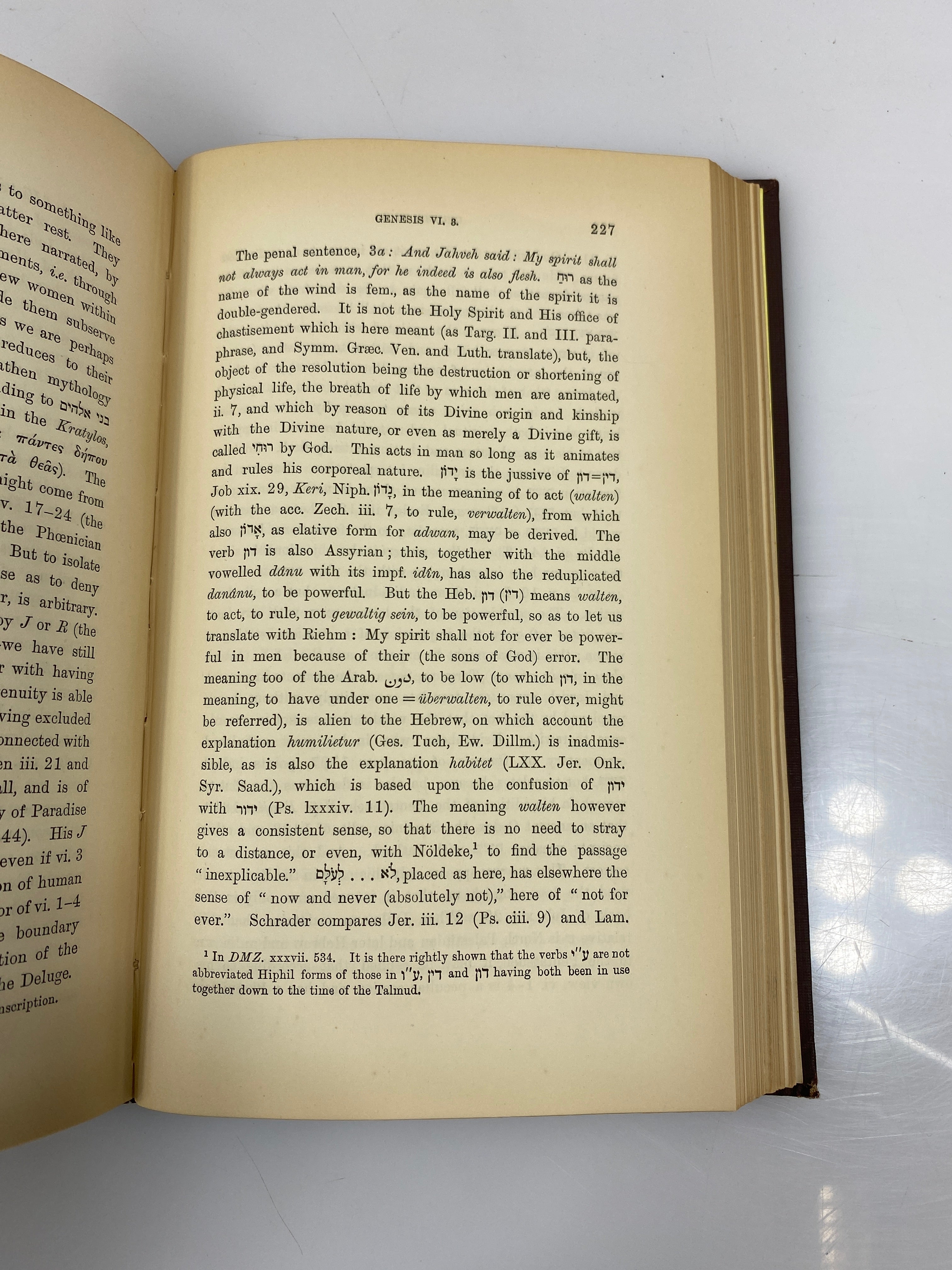 Set of 2: A New Commentary on Genesis by Delitzsch Vol. I-II 1889 HC