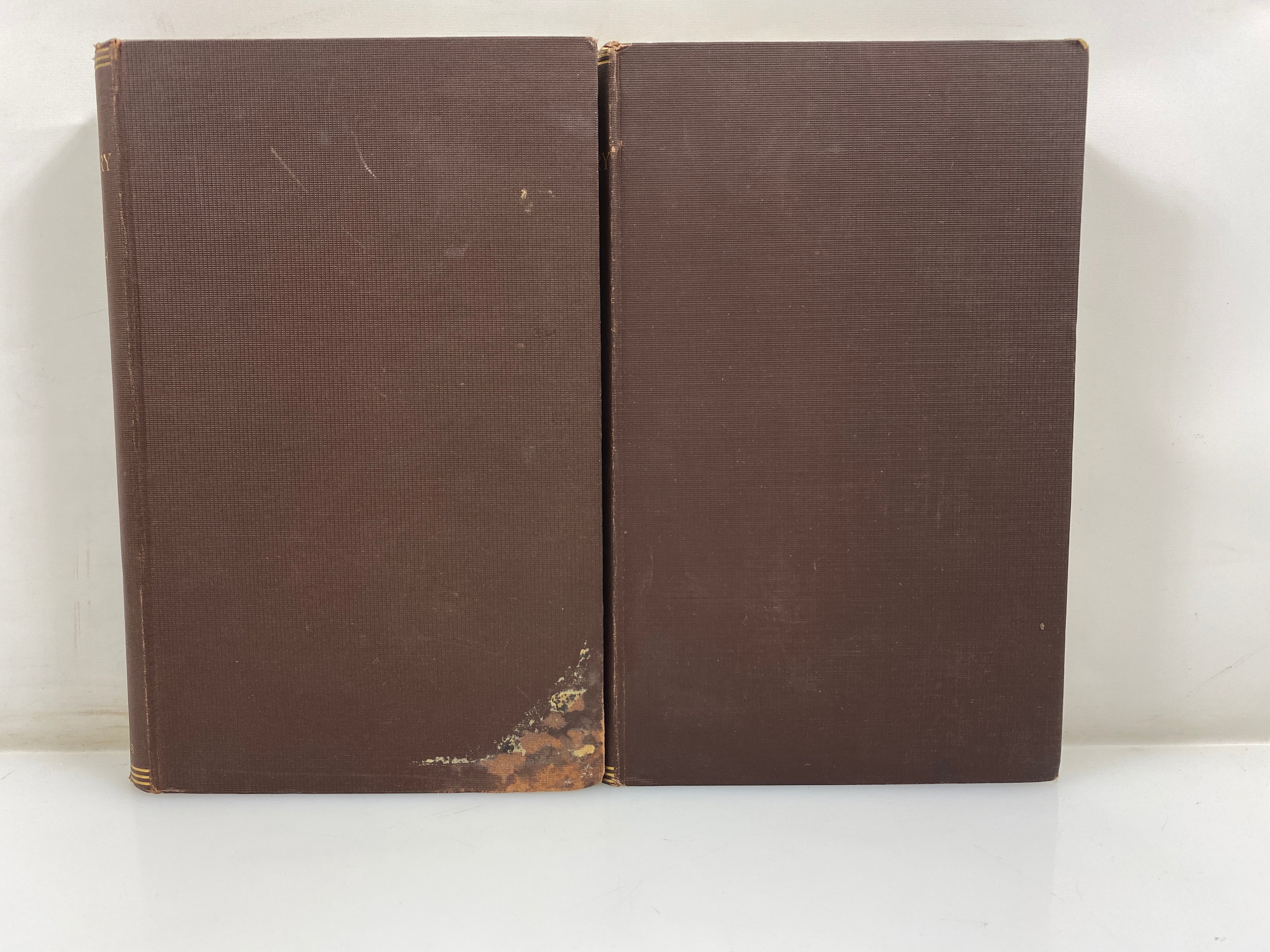 Set of 2: A New Commentary on Genesis by Delitzsch Vol. I-II 1889 HC