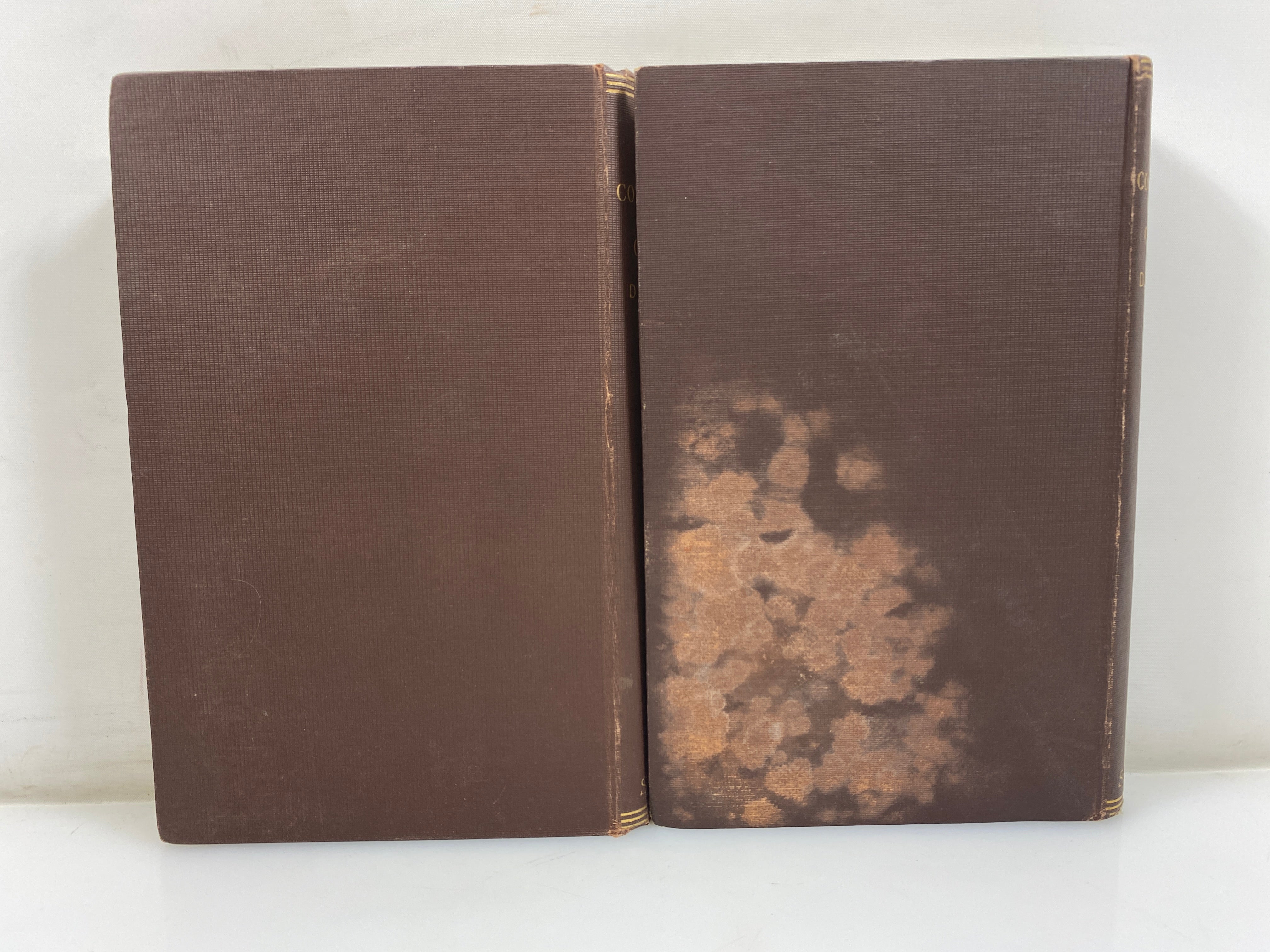 Set of 2: A New Commentary on Genesis by Delitzsch Vol. I-II 1889 HC
