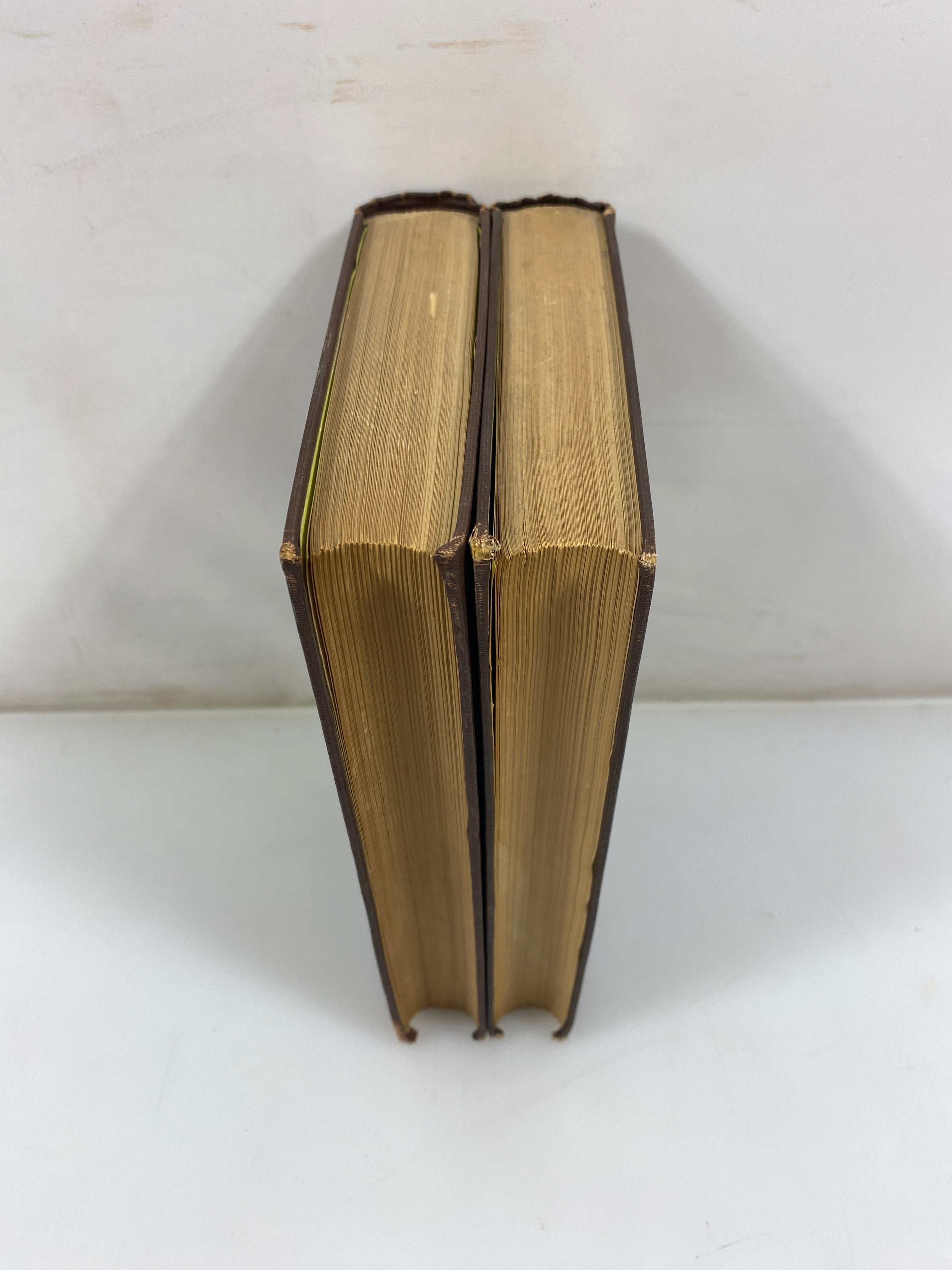 Set of 2: A New Commentary on Genesis by Delitzsch Vol. I-II 1889 HC