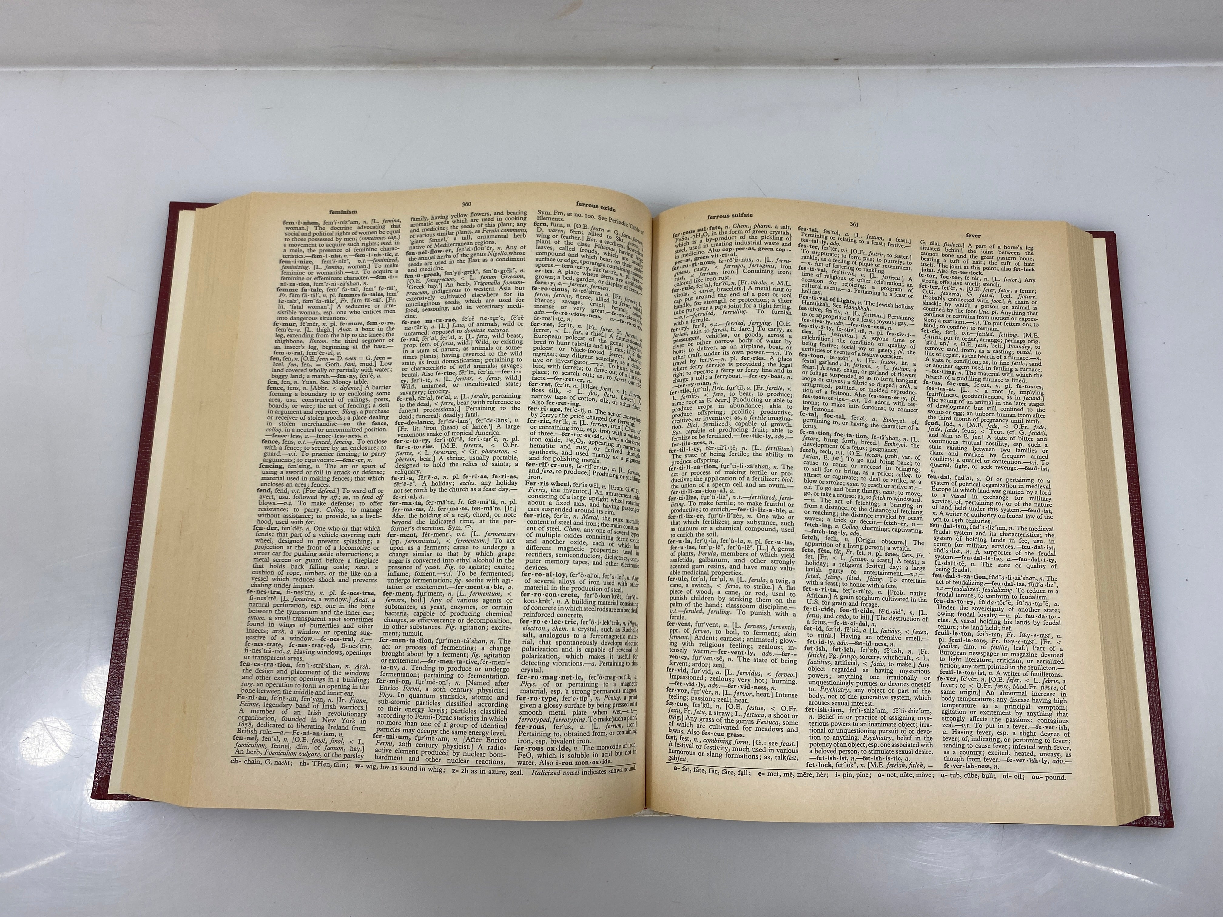 Set of 2: The Lexicon Webster Dictionary Encyclopedic Edition 1983 HC