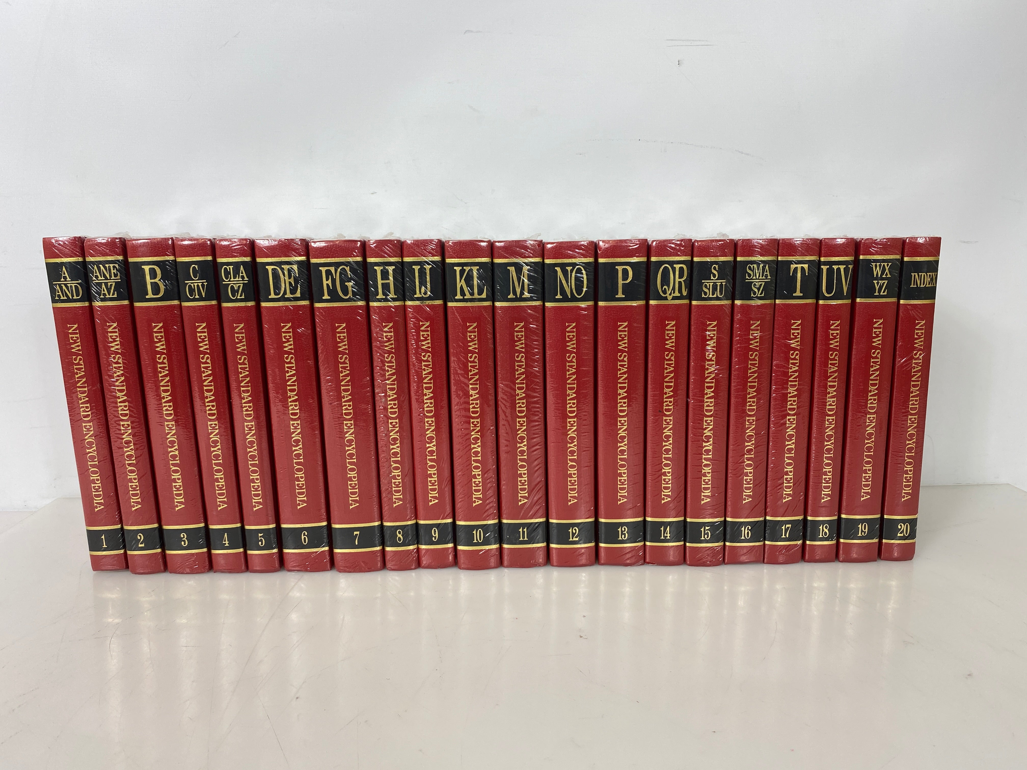 Set of 20: New Standard Encyclopedia New c.1990 HC