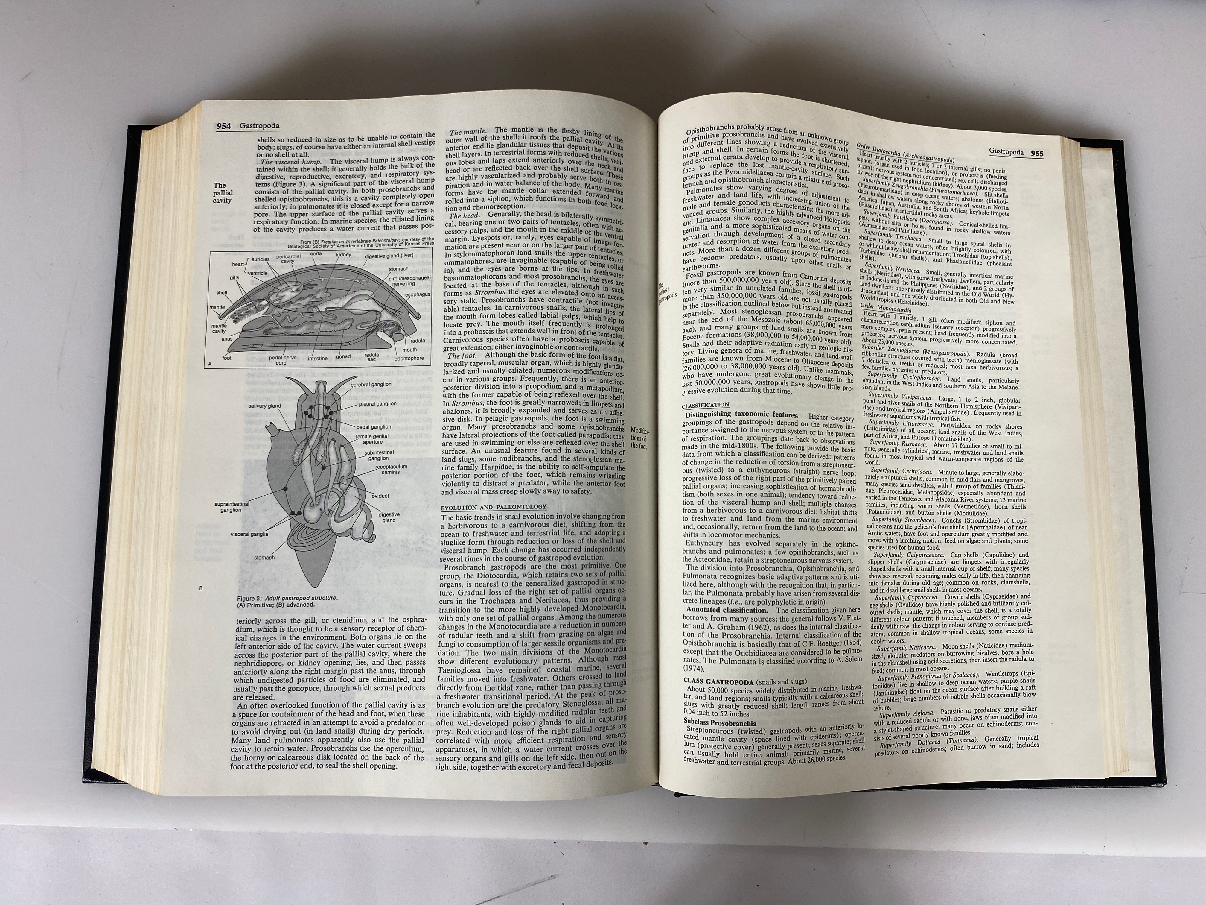 Set of 30 Encyclopedia Britannica Macro/Micropaedia 1975 HC