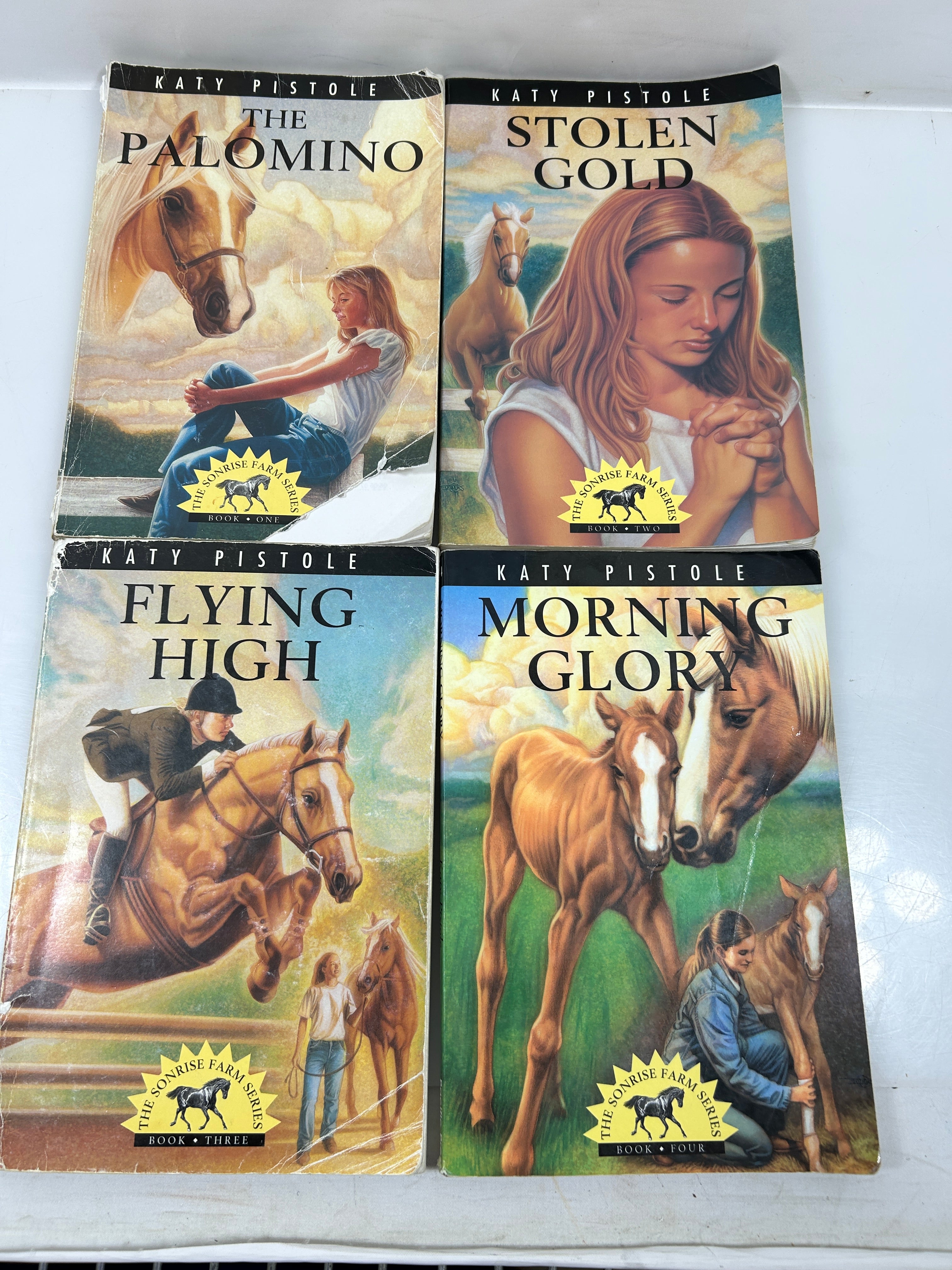 Set of 4 The Sonrise Farm Series by Katy Pistole UK SC