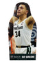 shopify auction
