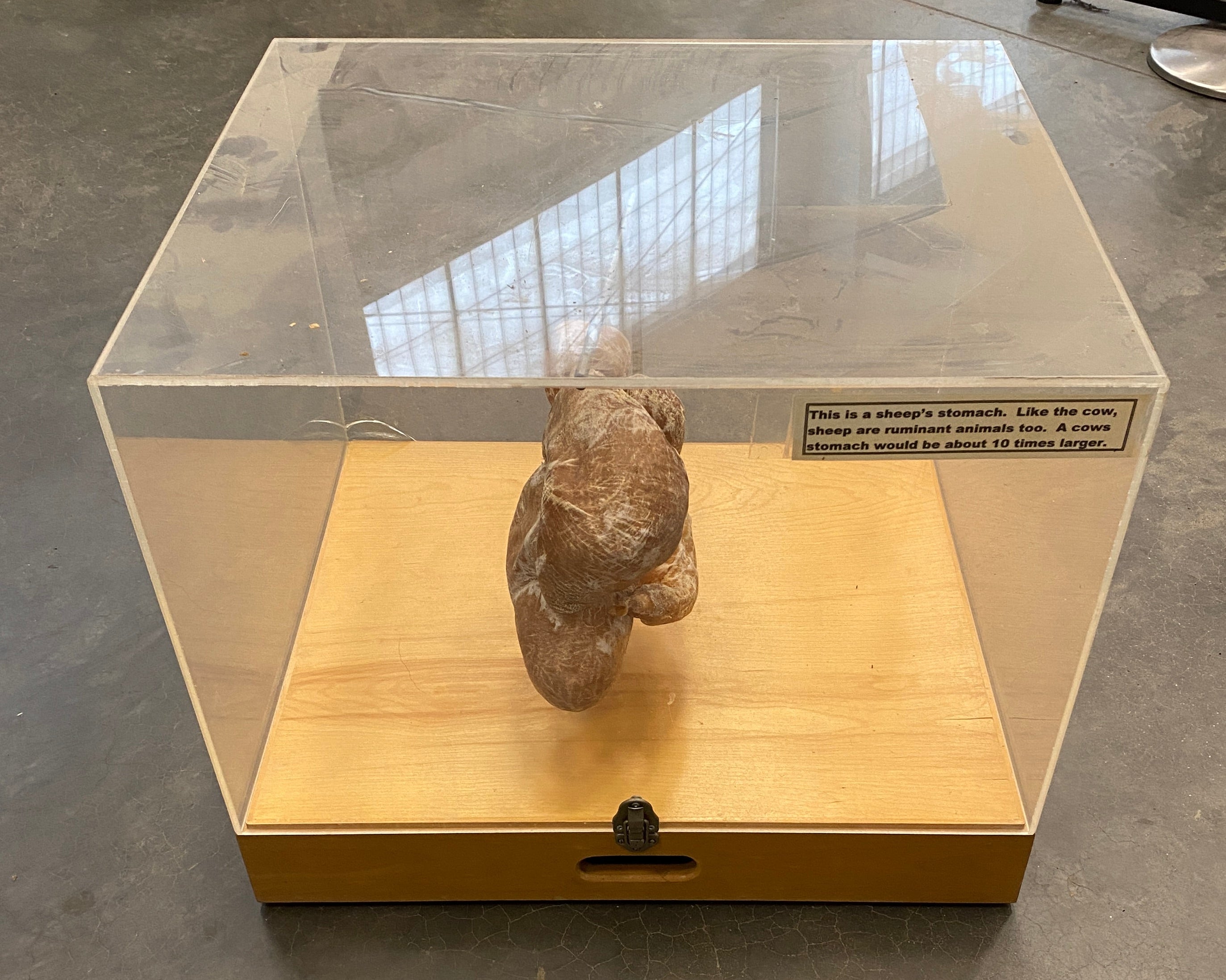 shopify auction