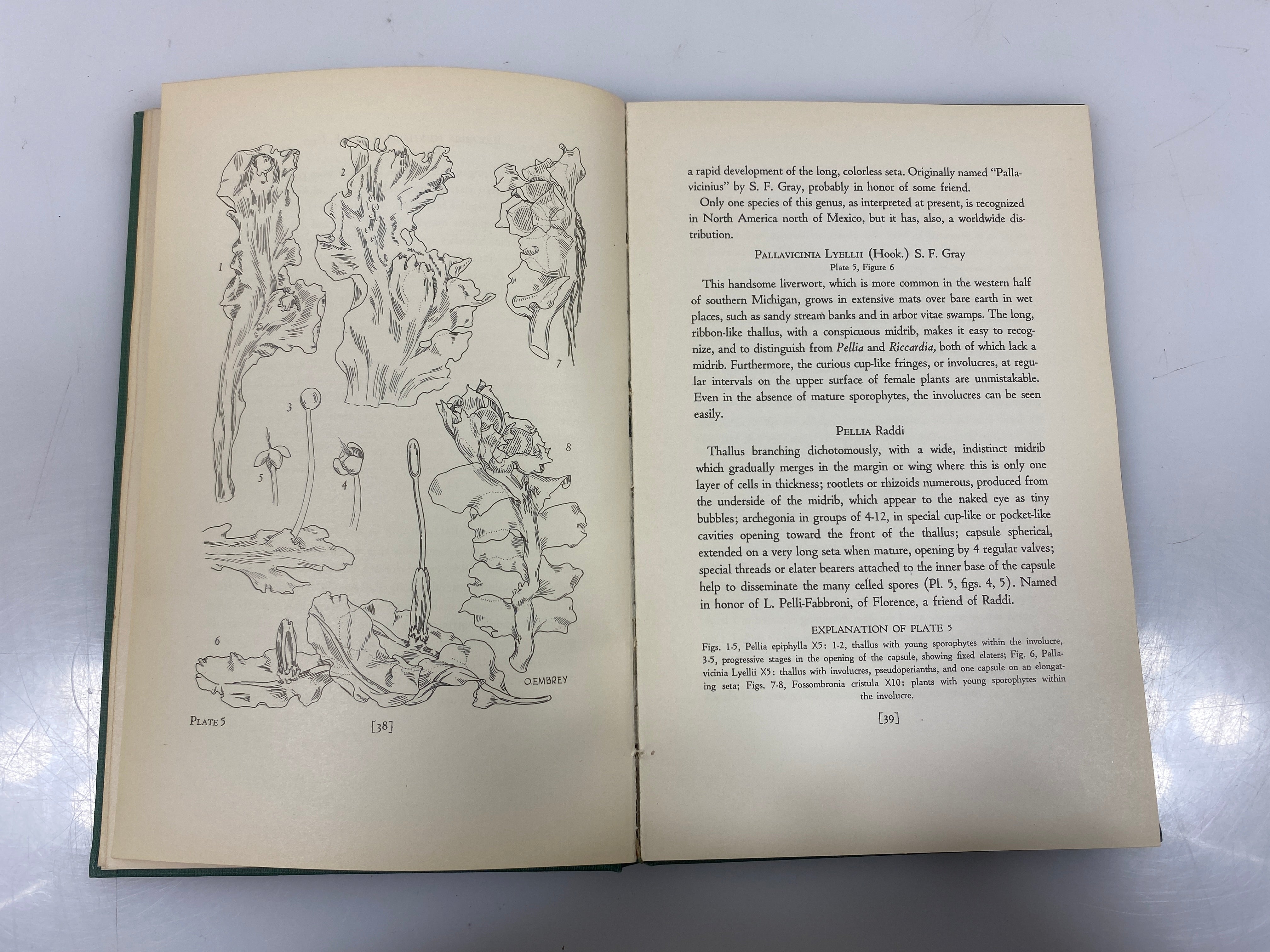 *Signed* Liverworts of Southern Michigan by Steere Cranbrook Press 1940 HC