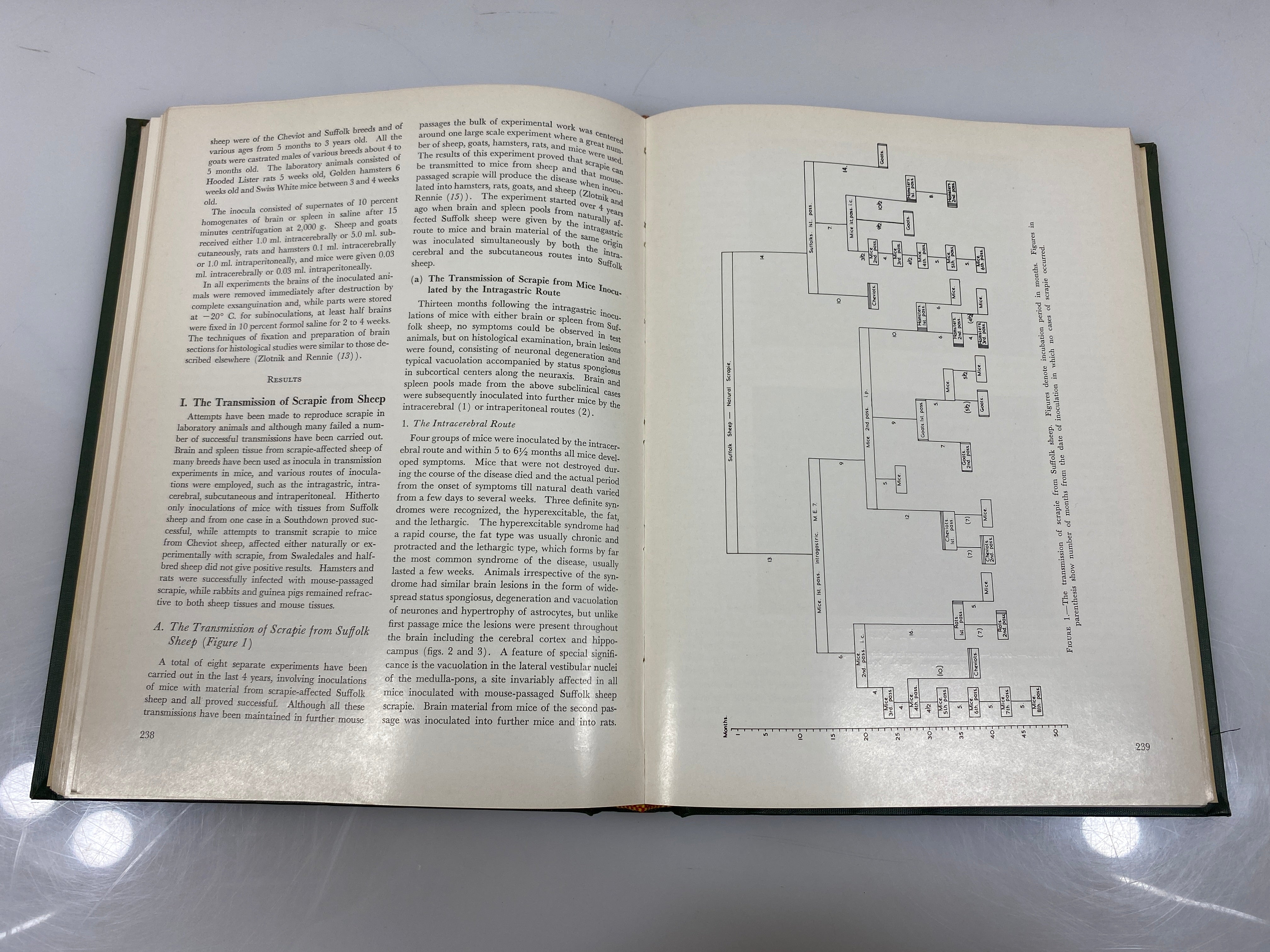 Slow, Latent, & Temperate Virus Infection USDHEW Ex-library 1965 HC