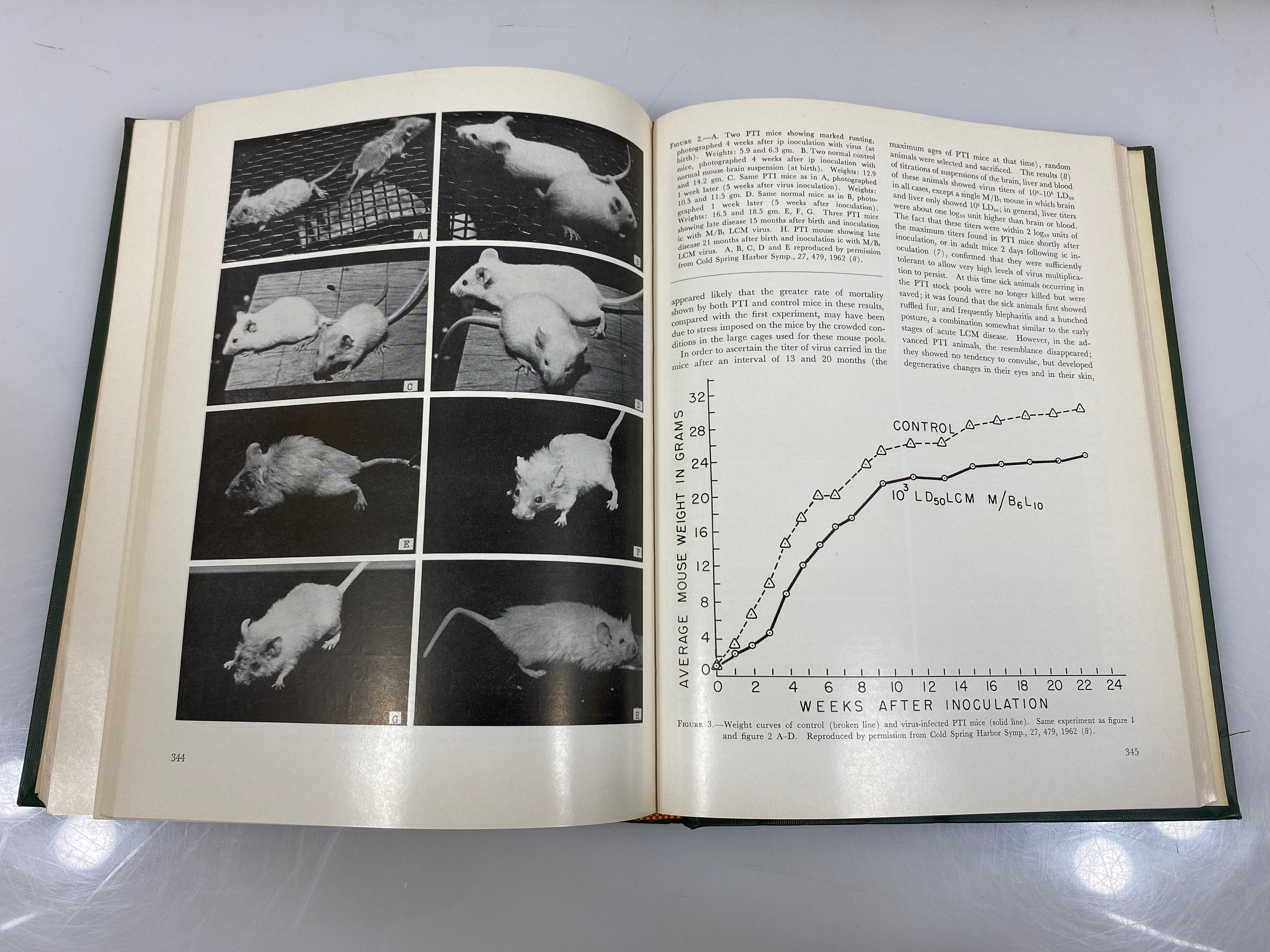 Slow, Latent, & Temperate Virus Infection USDHEW Ex-library 1965 HC