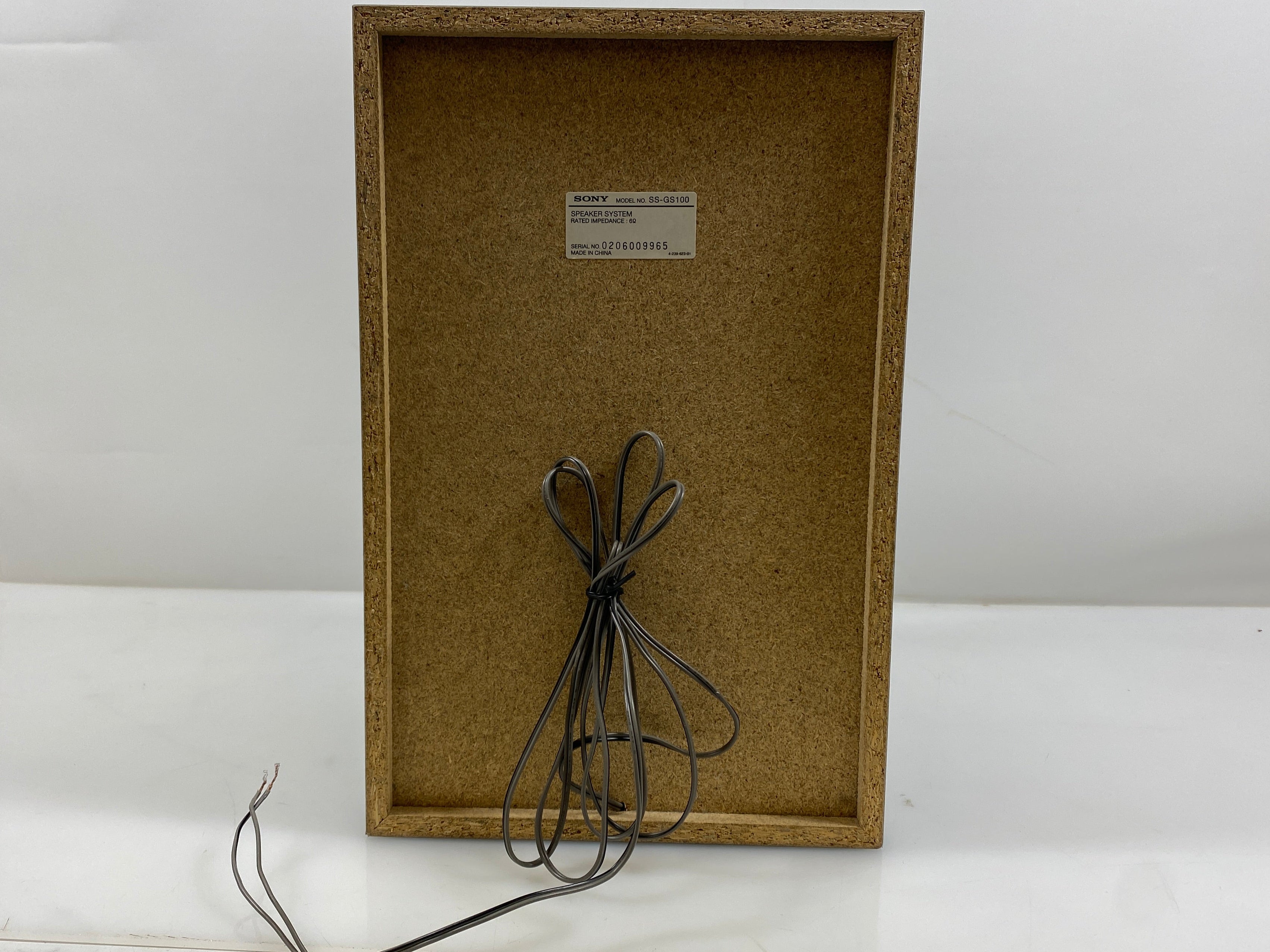 Sony SS-GS100 Speaker