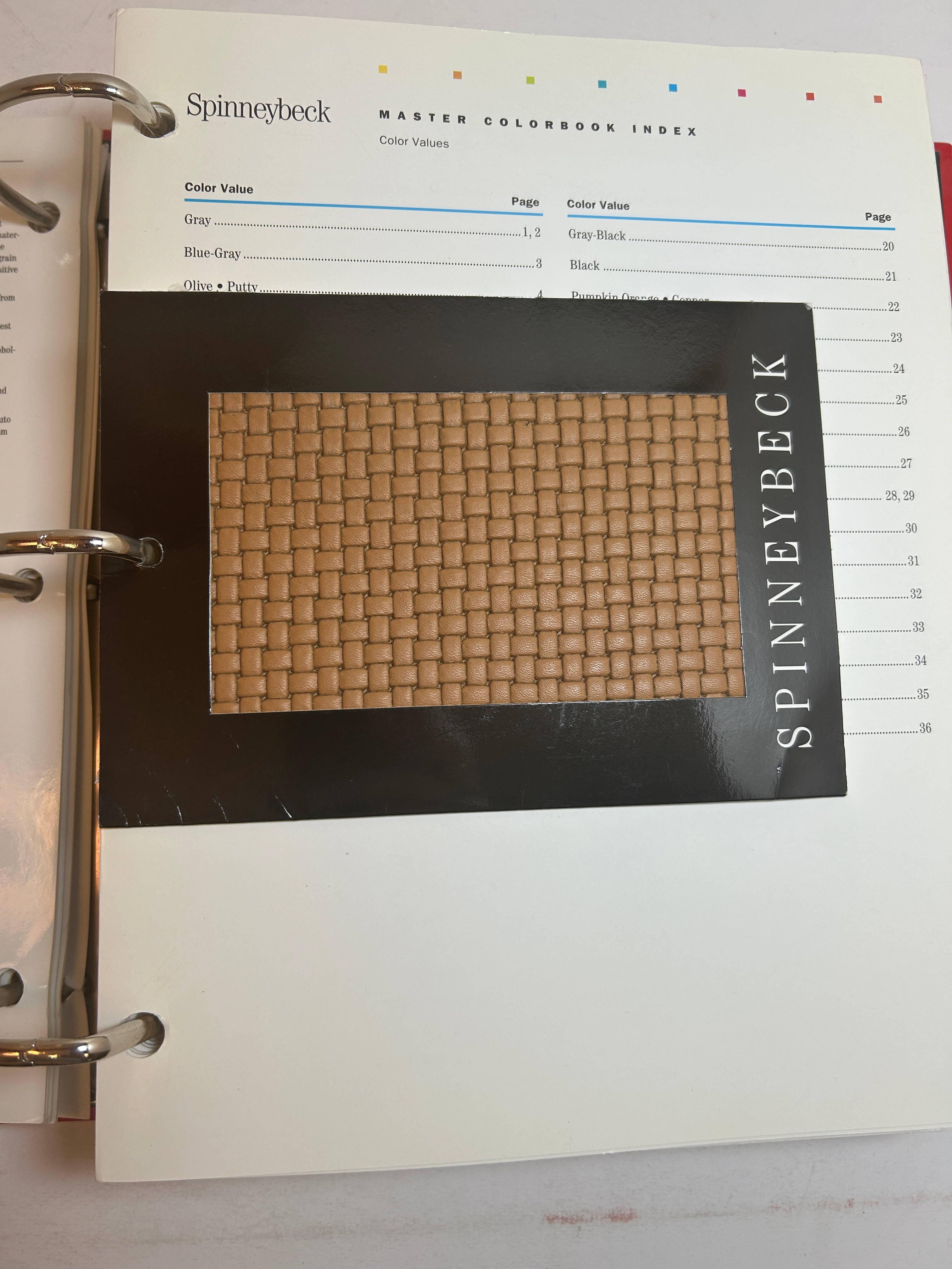 Spinneybeck Master Colorbook Antique Leather Sample Book