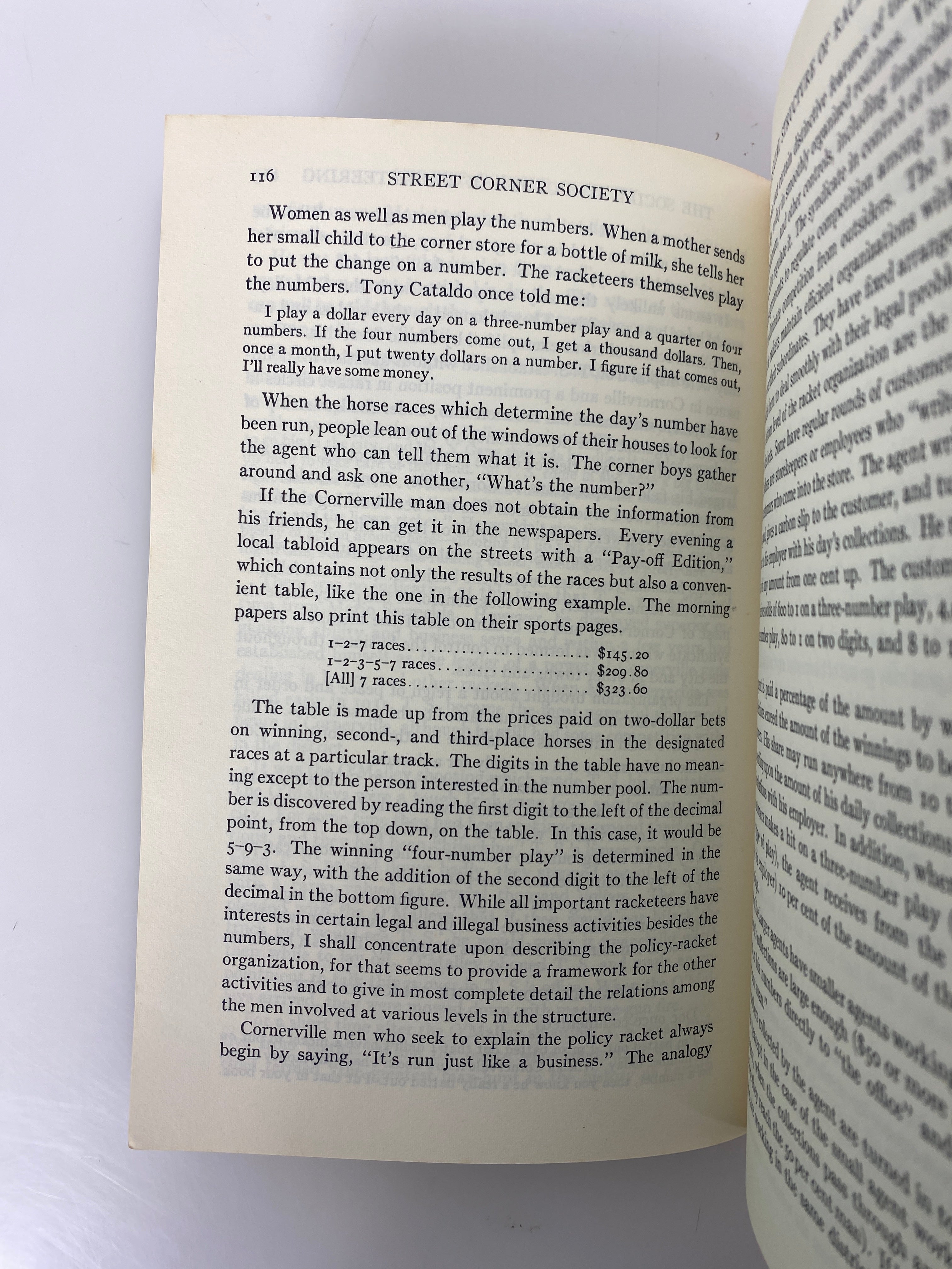 Street Corner Society by William Foote Whyte 1966 10th Impression Vintage SC
