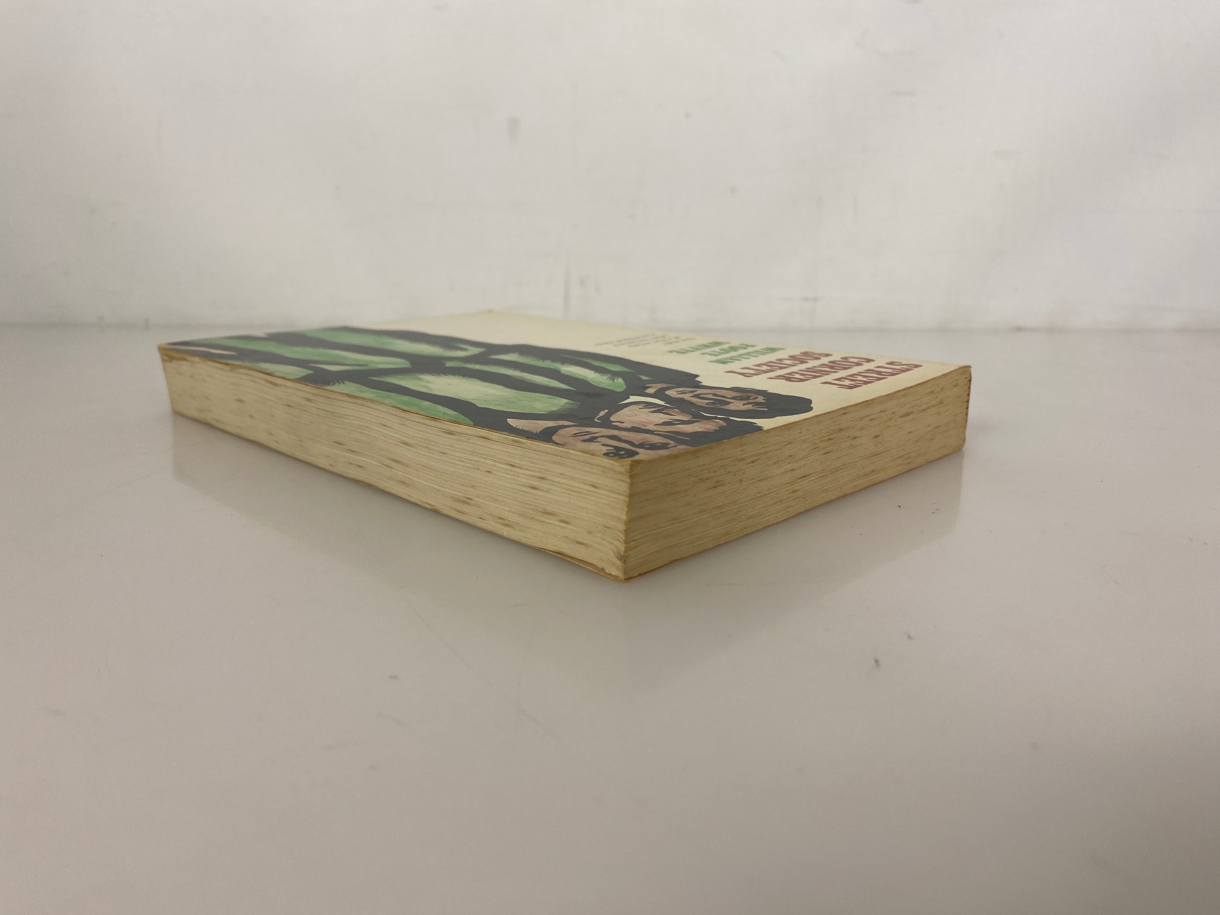 Street Corner Society by William Foote Whyte 1966 10th Impression Vintage SC