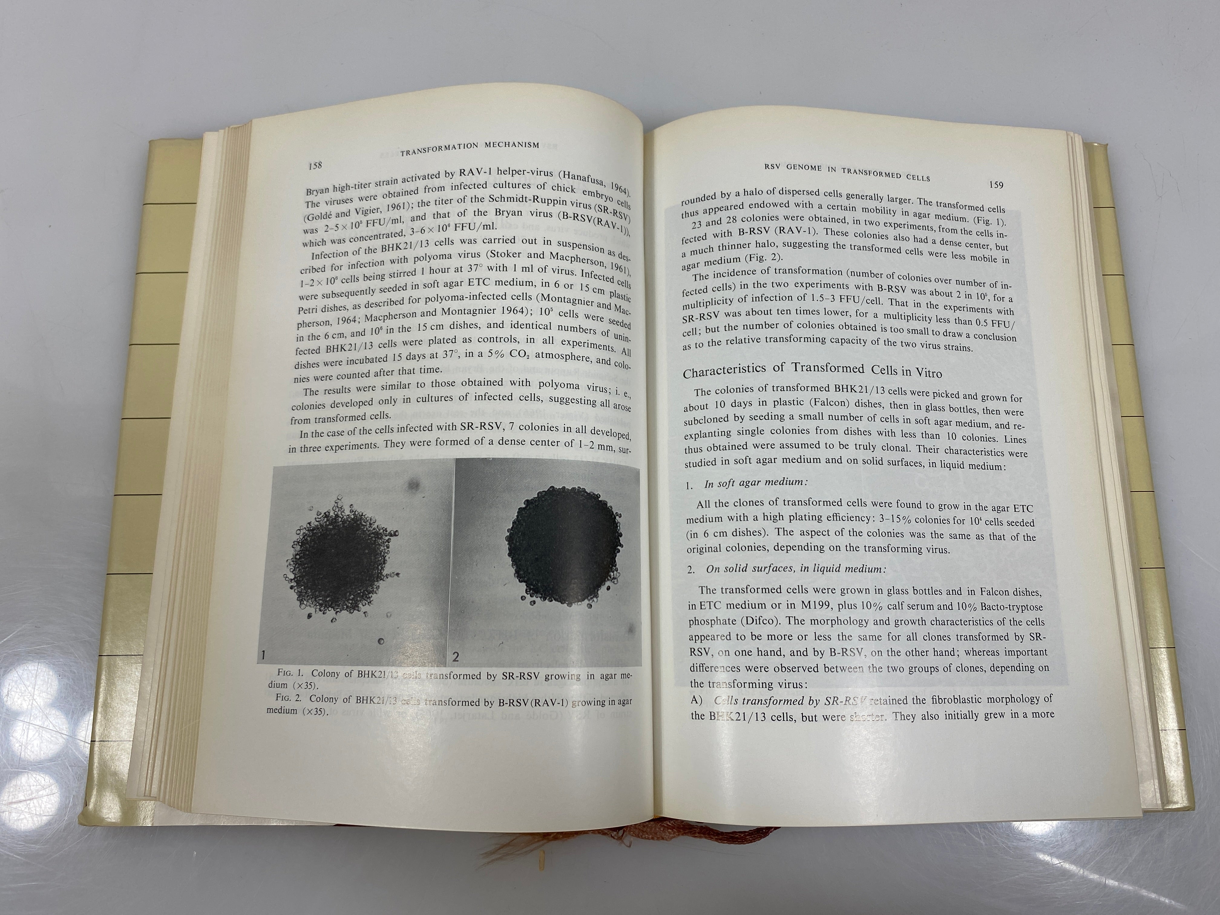 Subviral Carcinogenesis by Ito 1966 Ex-library HCDJ