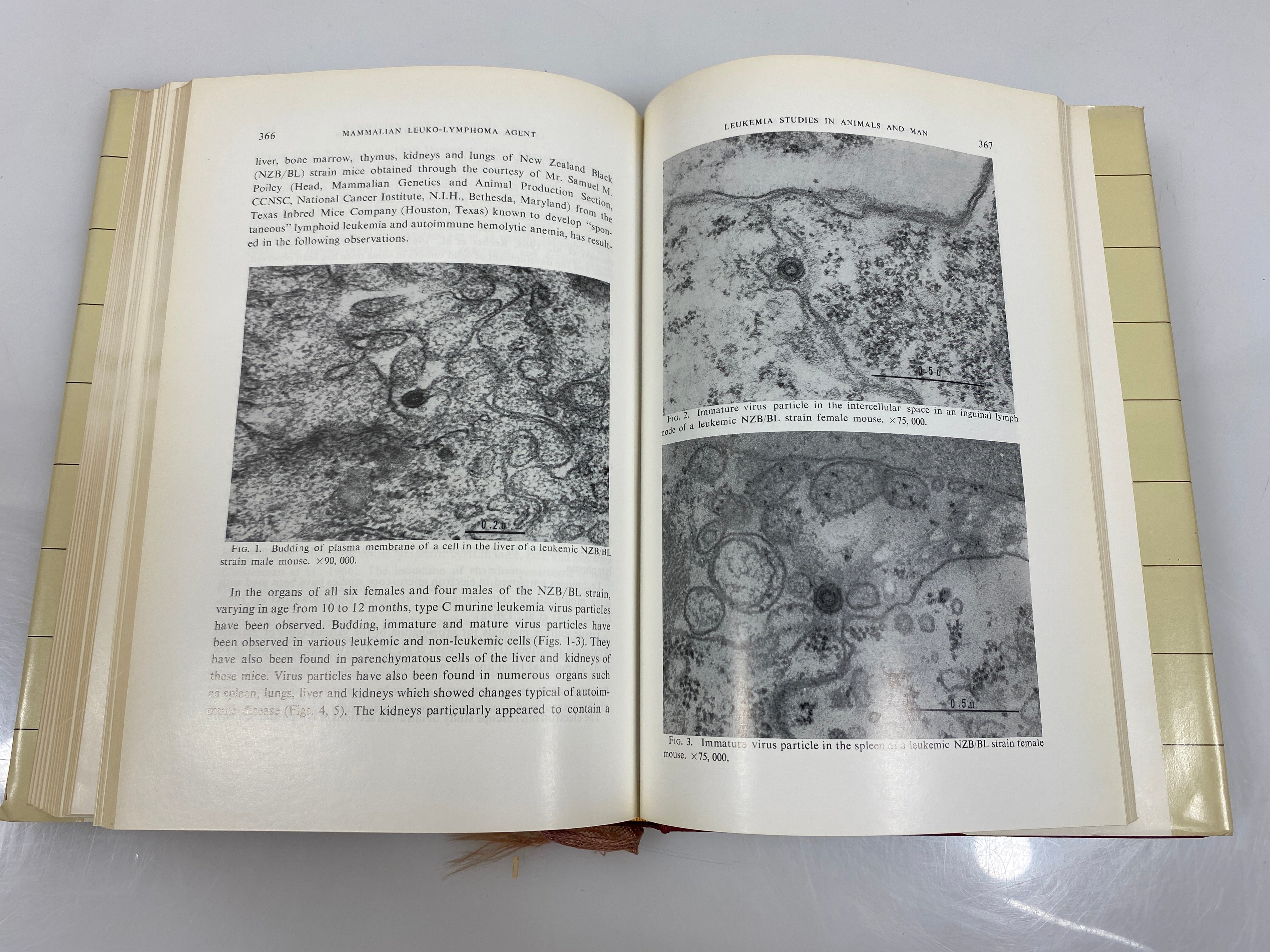 Subviral Carcinogenesis by Ito 1966 Ex-library HCDJ
