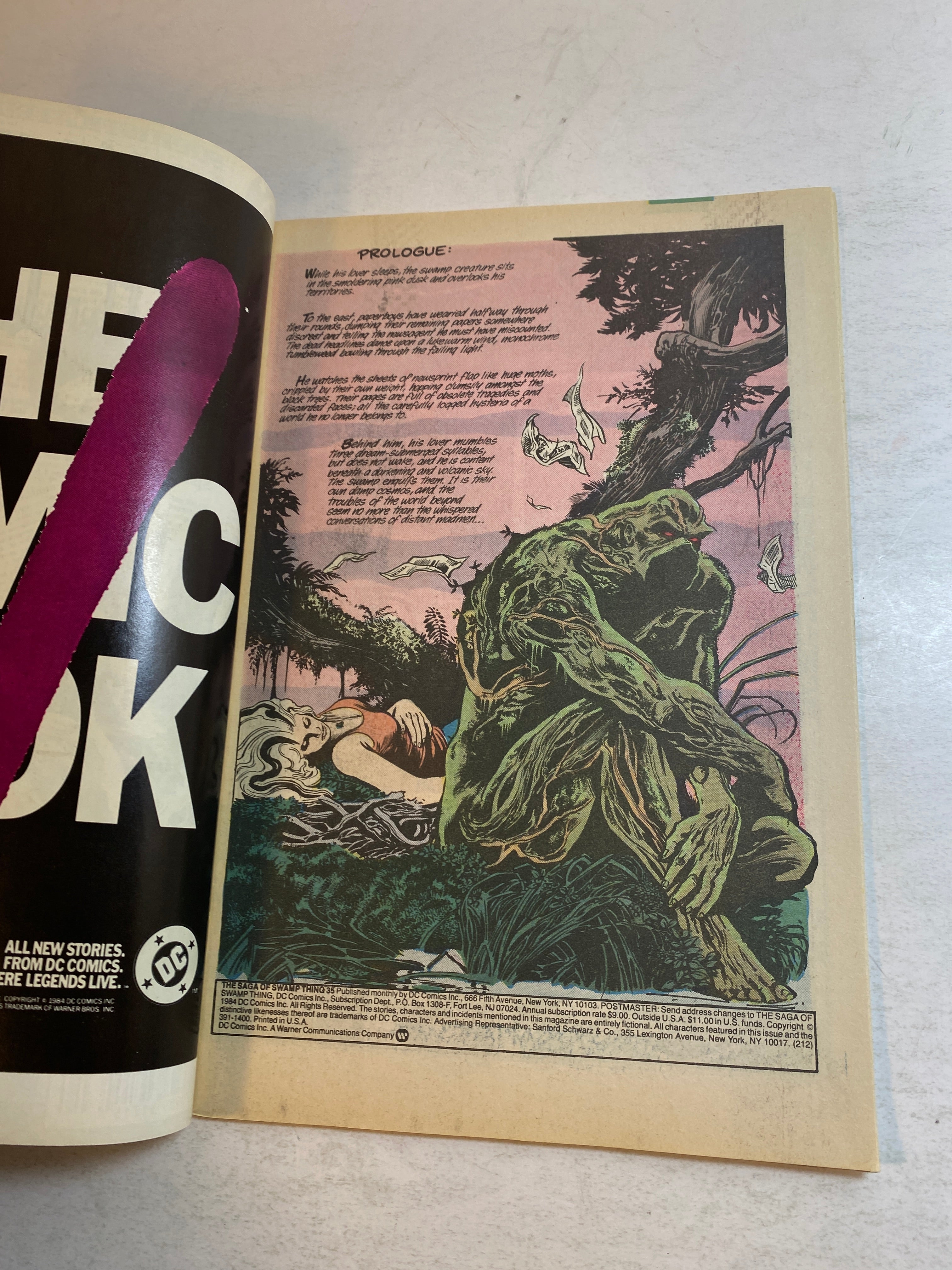 Swamp Thing #35 DC Comics