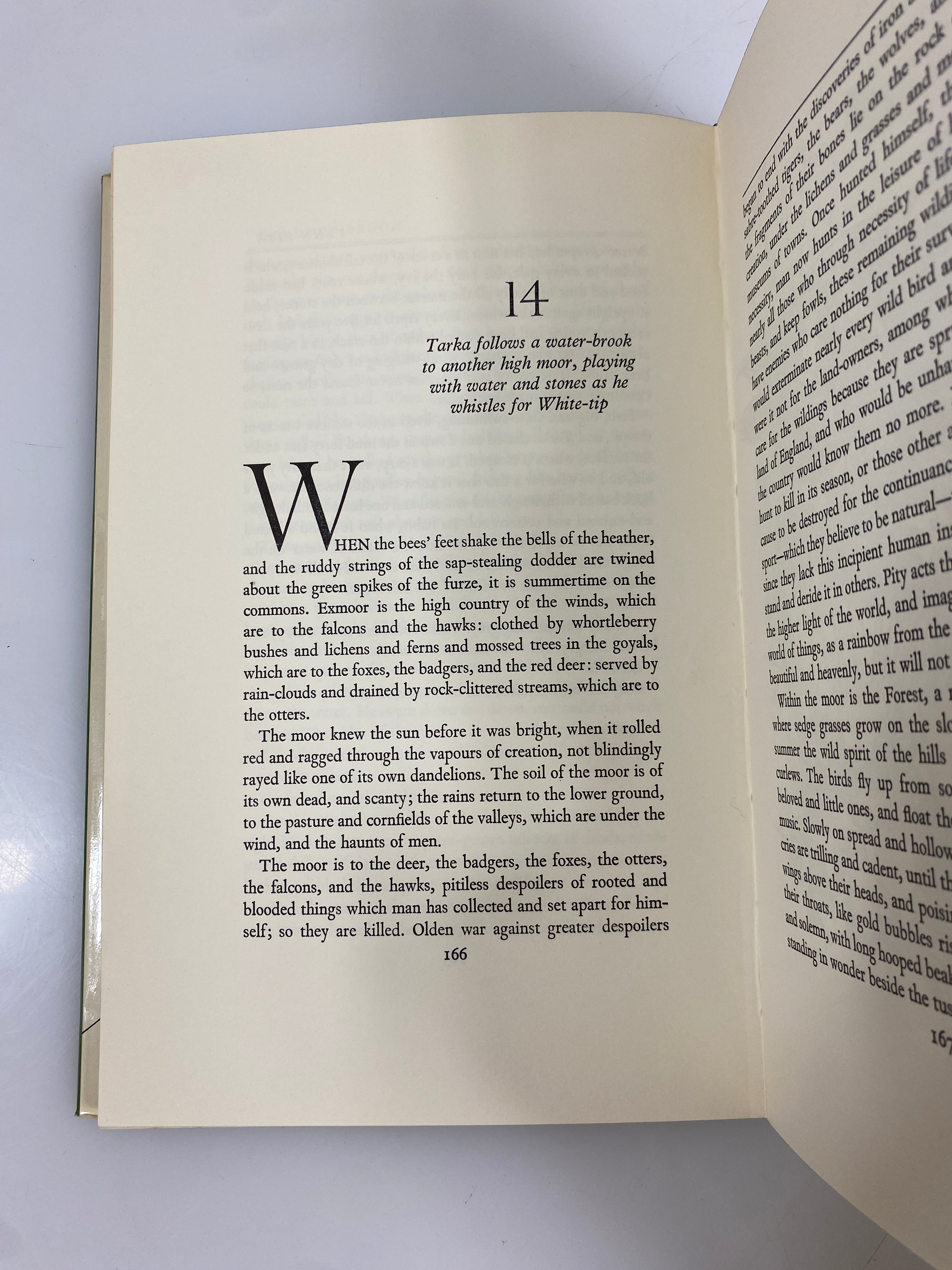 Tarka the Otter by Henry Williamson 1964 Vintage Nonesuch Press HC DJ