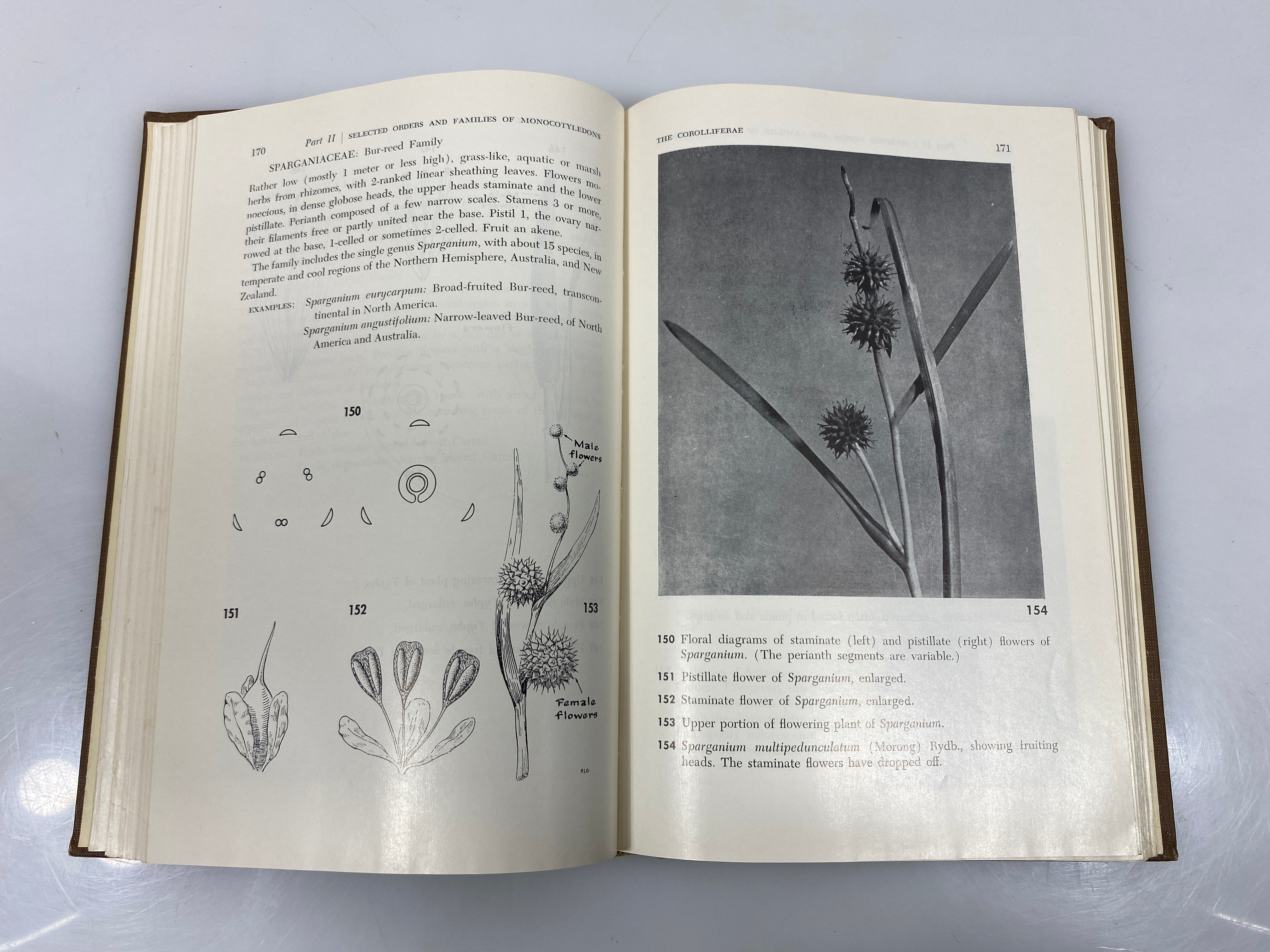 Taxonomy of Flowering Plants by C.L. Porter 1959 HC