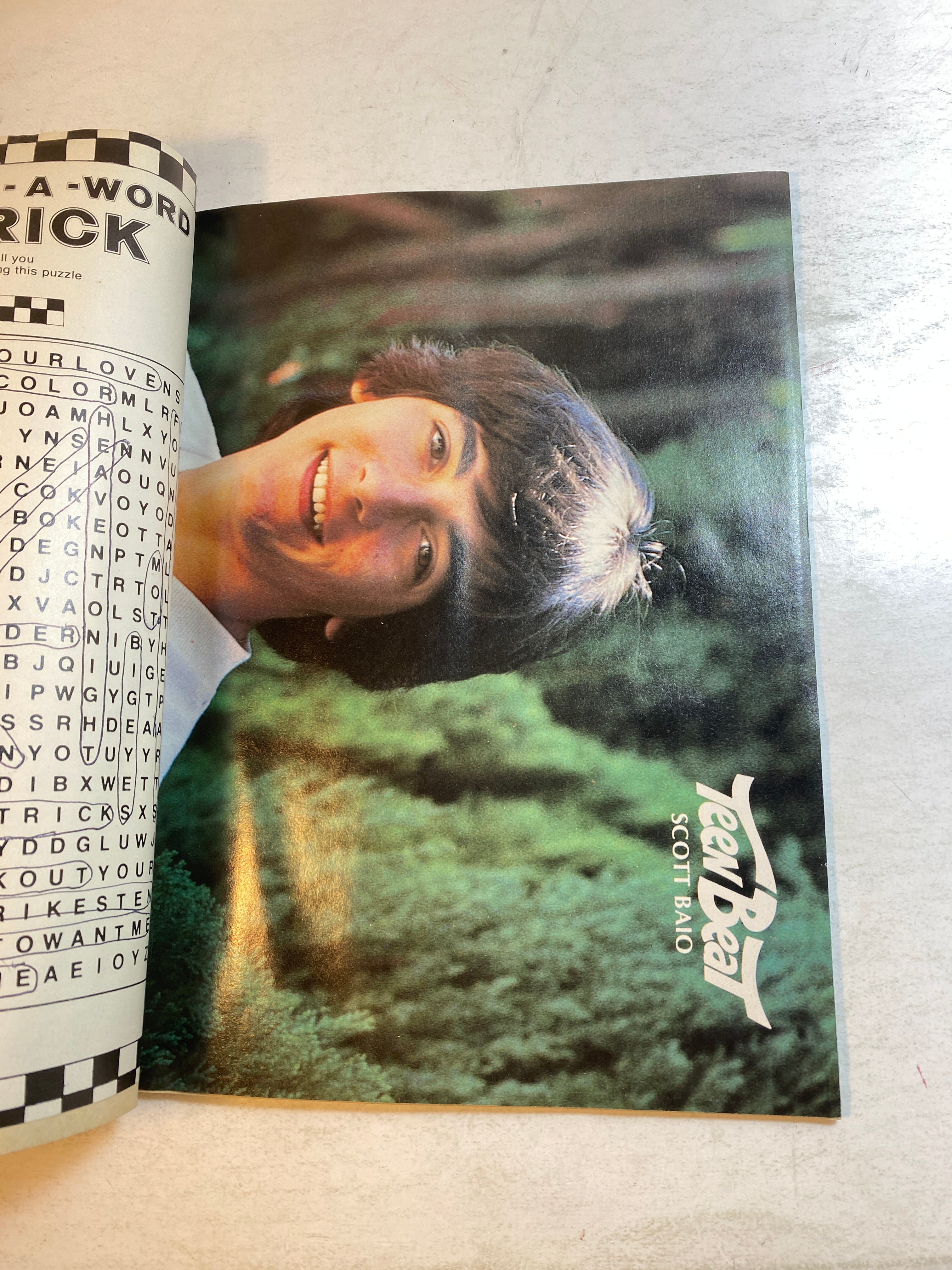 Teen Beat Magazine February 1981
