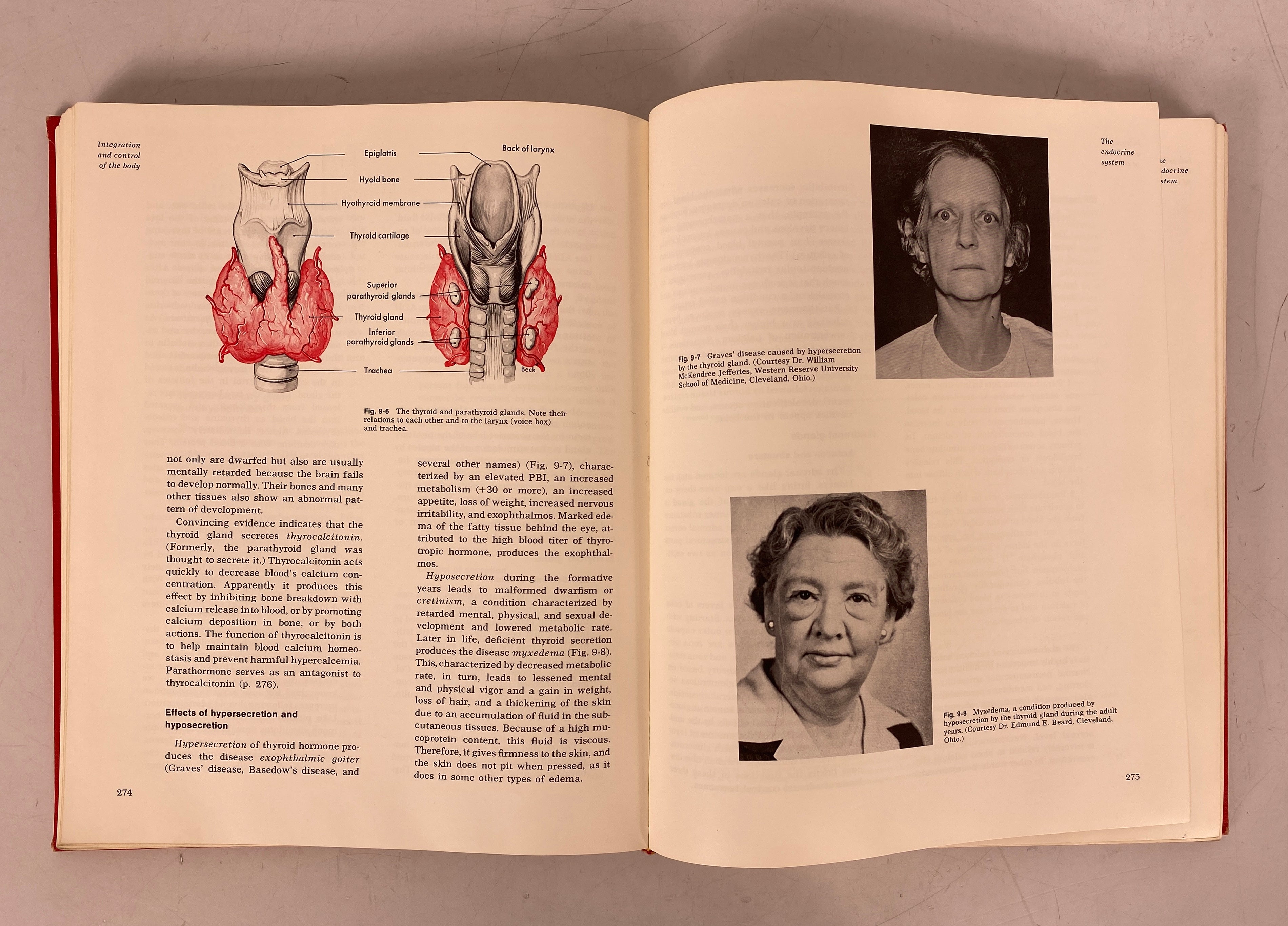 Textbook of Anatomy & Physiology Anthony/Kolthoff 1971 8th Ed HC