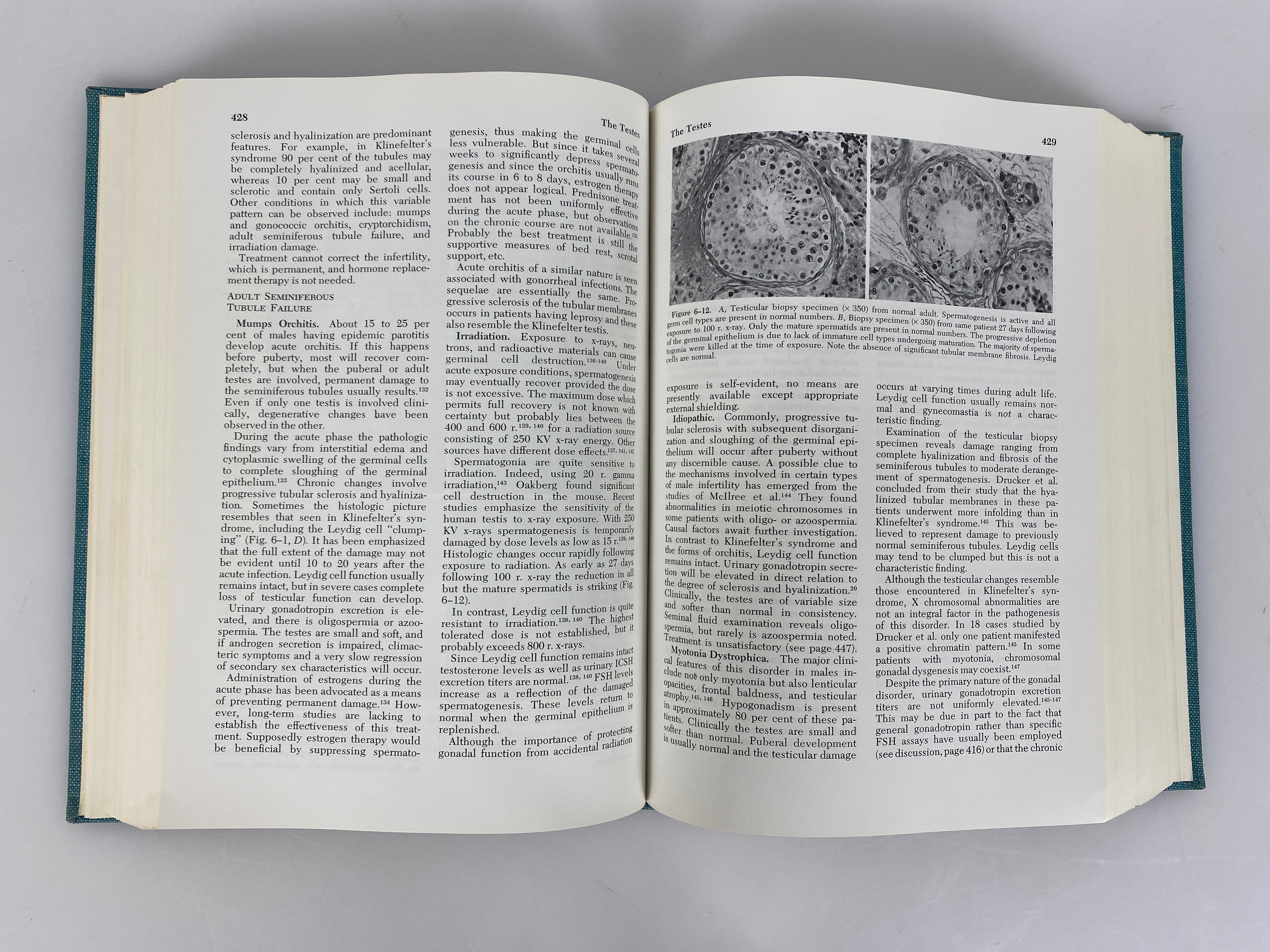 Textbook of Endocrinology Robert Williams 1968 Fourth Edition Vintage HC