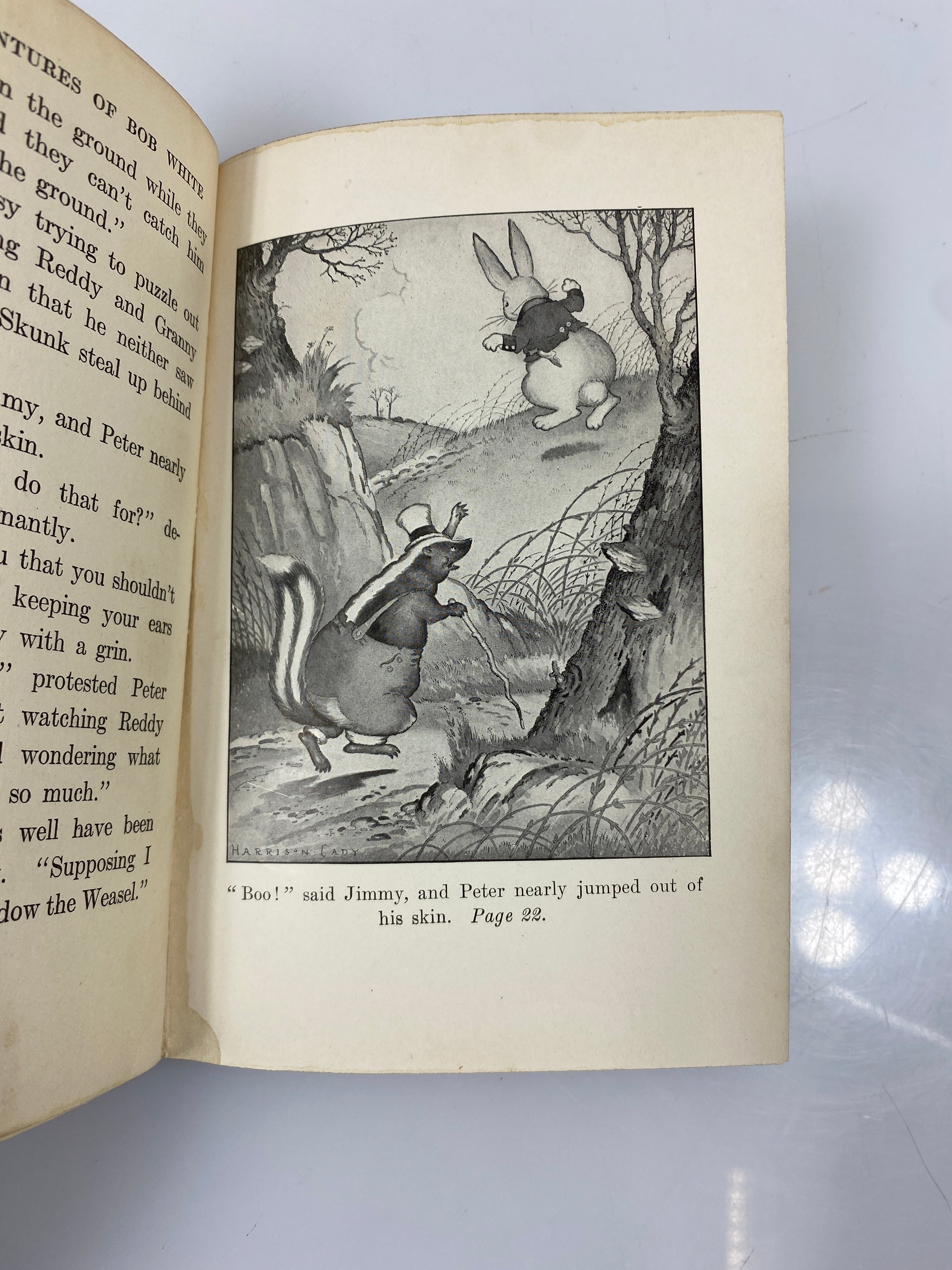 The Adventures of Bob White Burgess 1922 HC