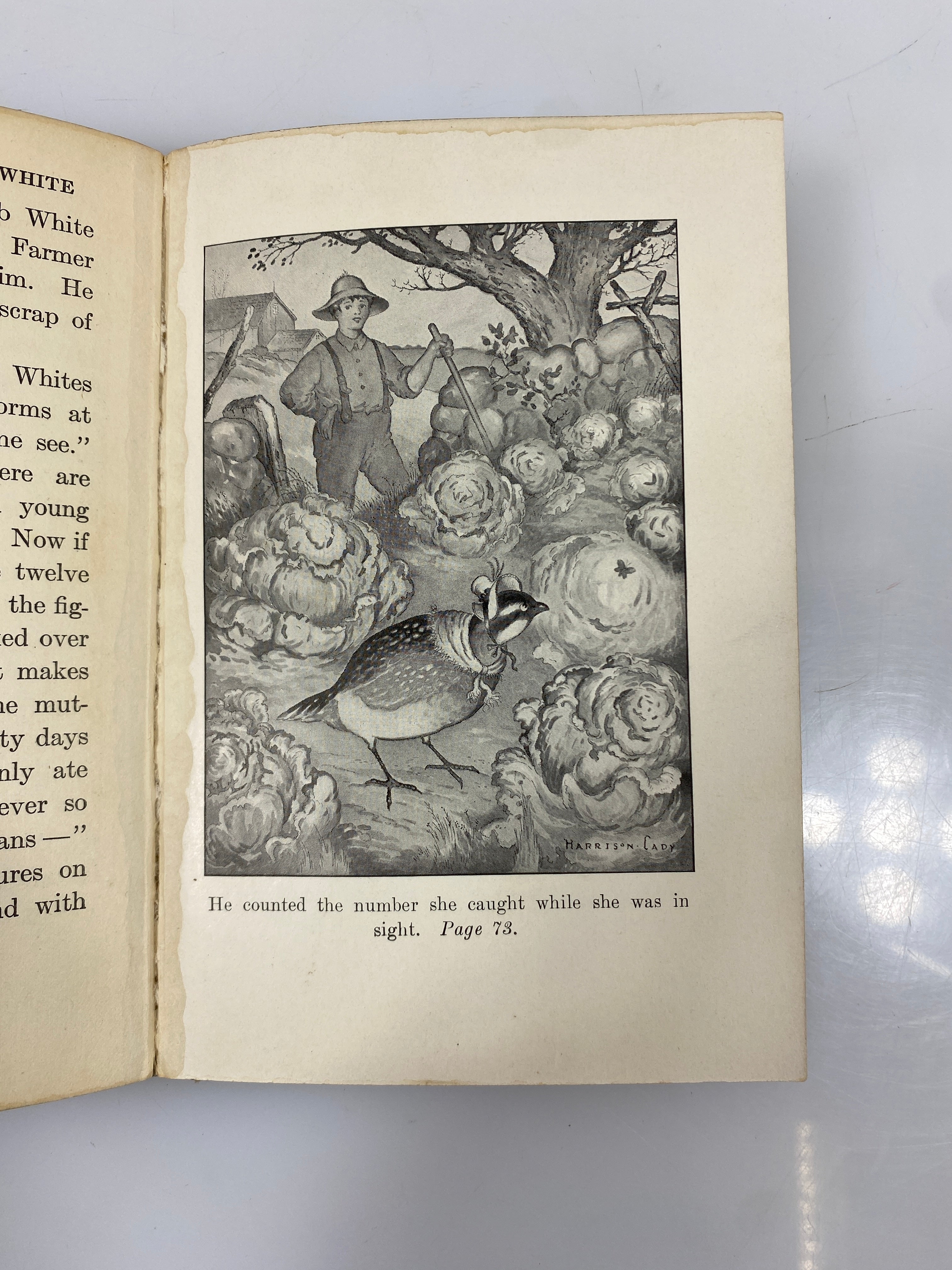 The Adventures of Bob White Burgess 1922 HC