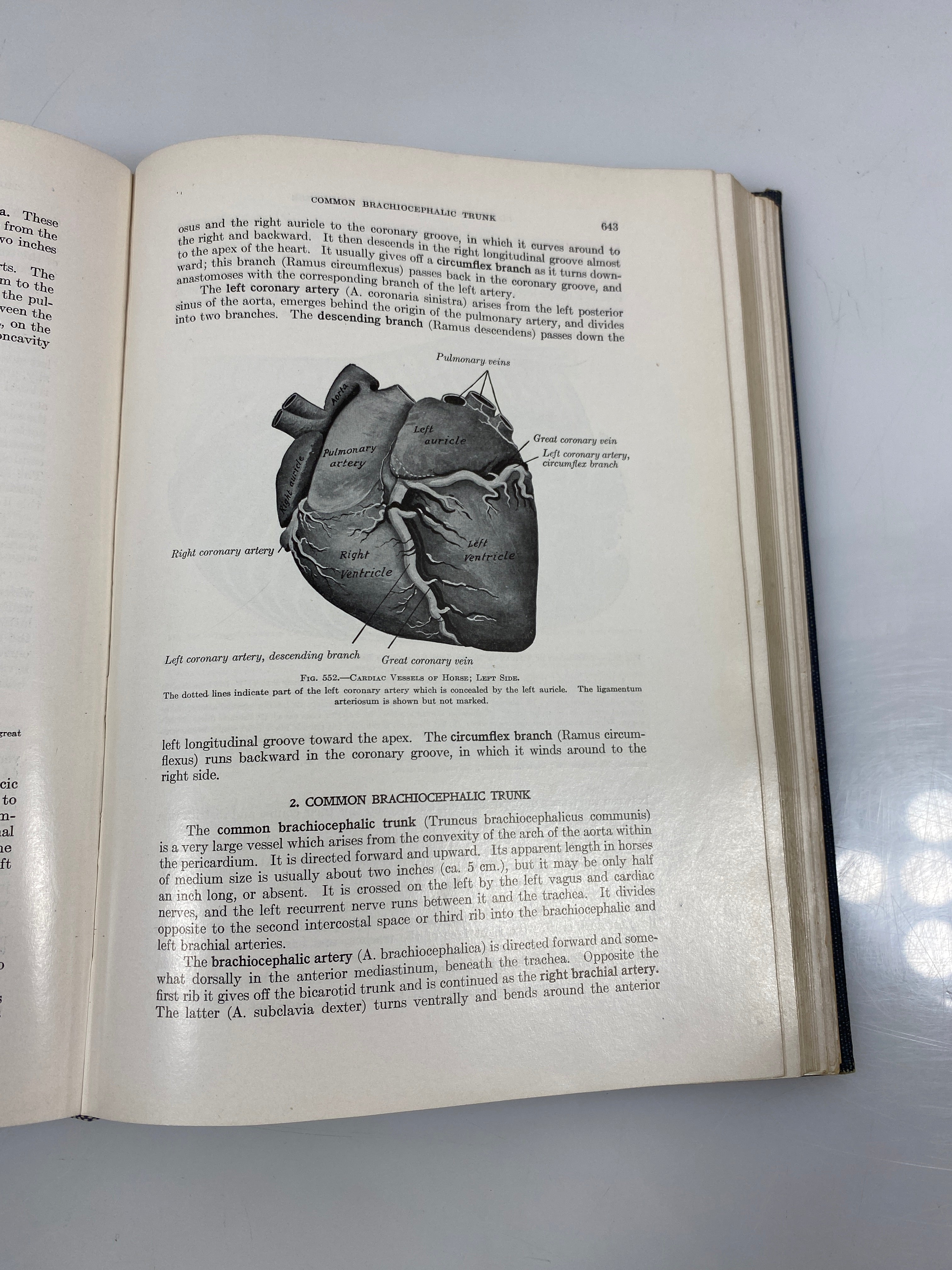 The Anatomy of the Domestic Animals by Sisson/Grossman Ex-library 1948 HC