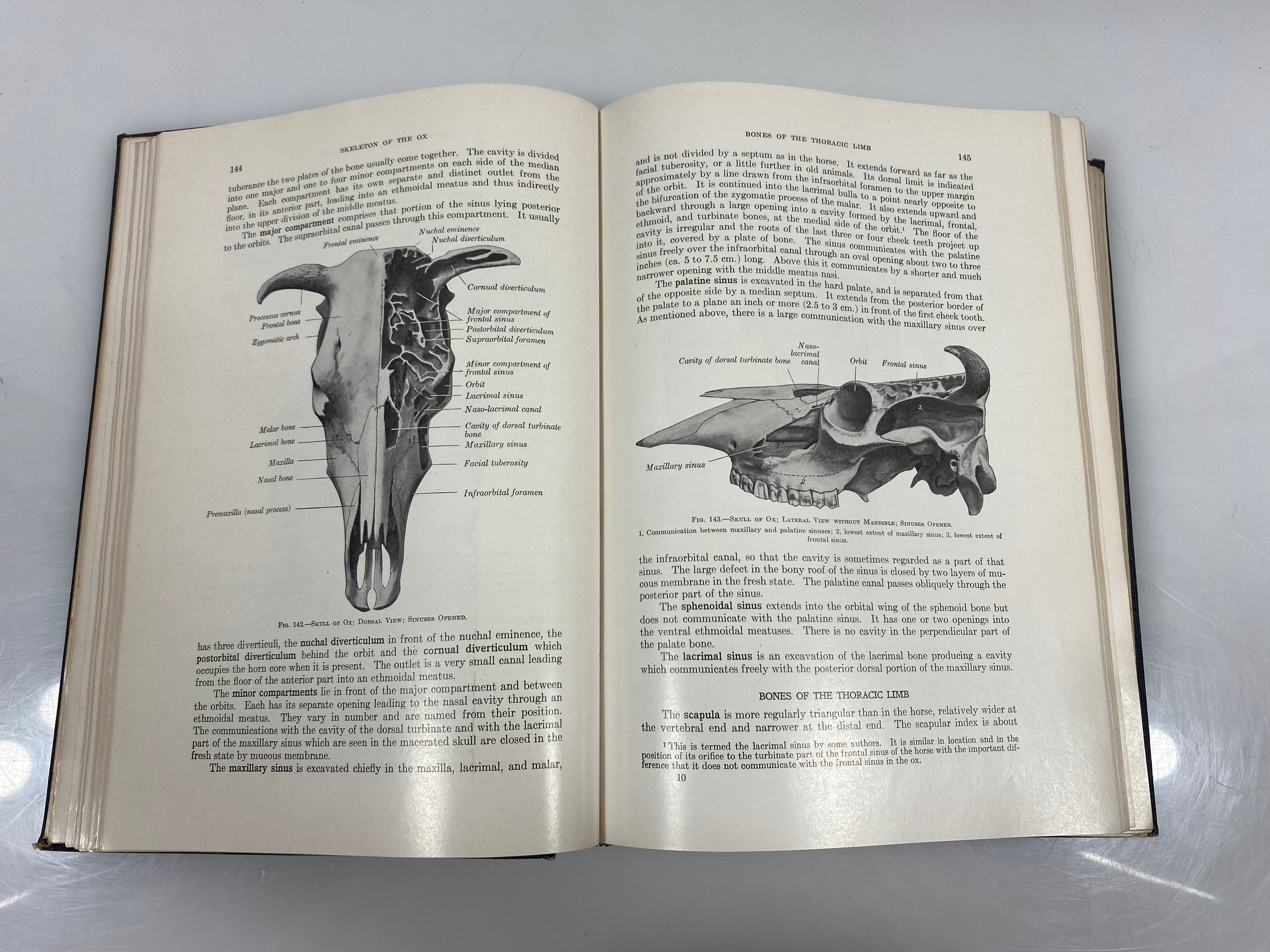 The Anatomy of the Domestic Animals by Sisson/Grossman Ex-library 1948 HC
