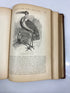 The Animal Kingdom Illustrated by Goodrich Vol. II 1879 HC